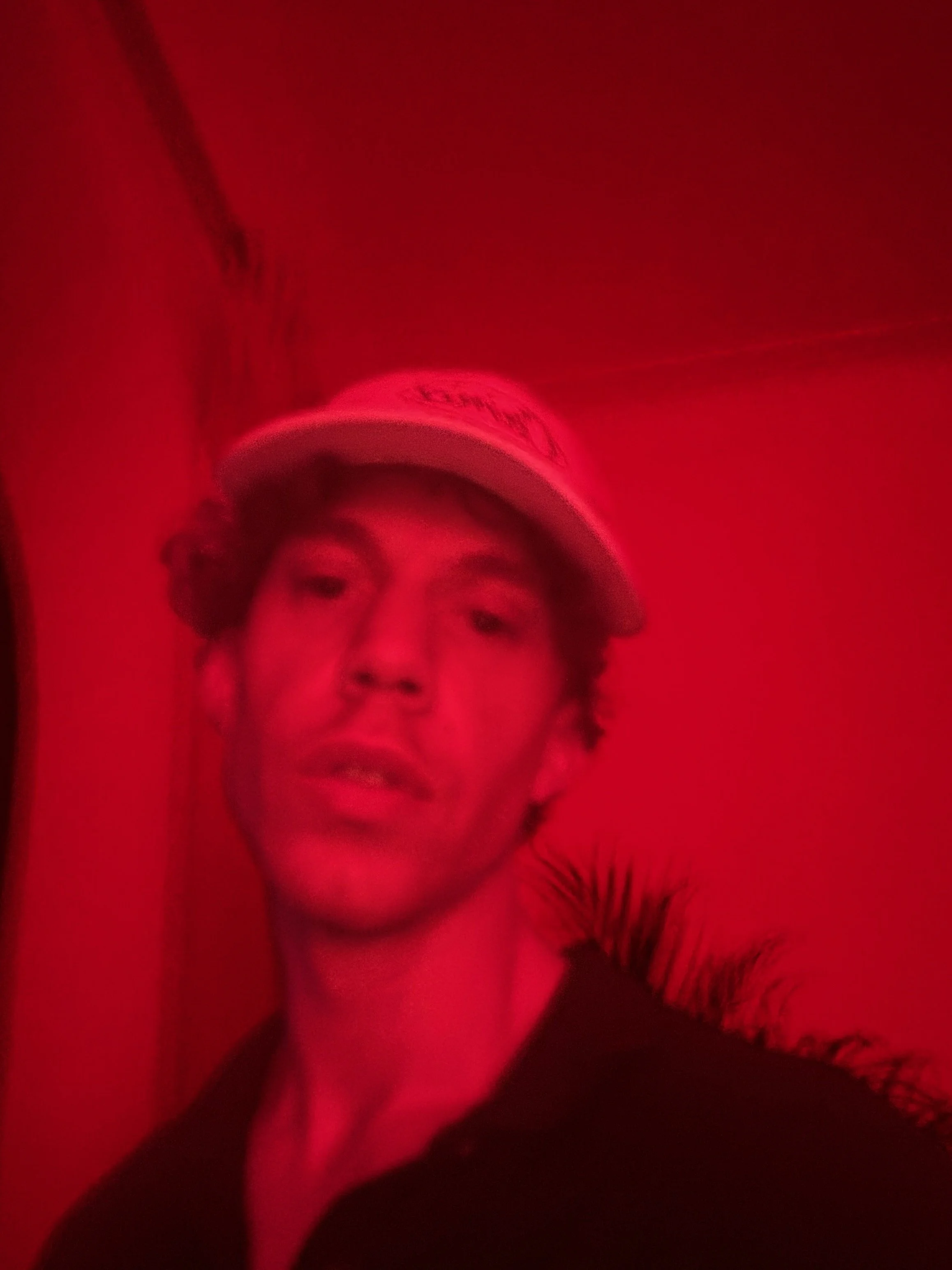 IMG_9560 21jpeg.jpeg
