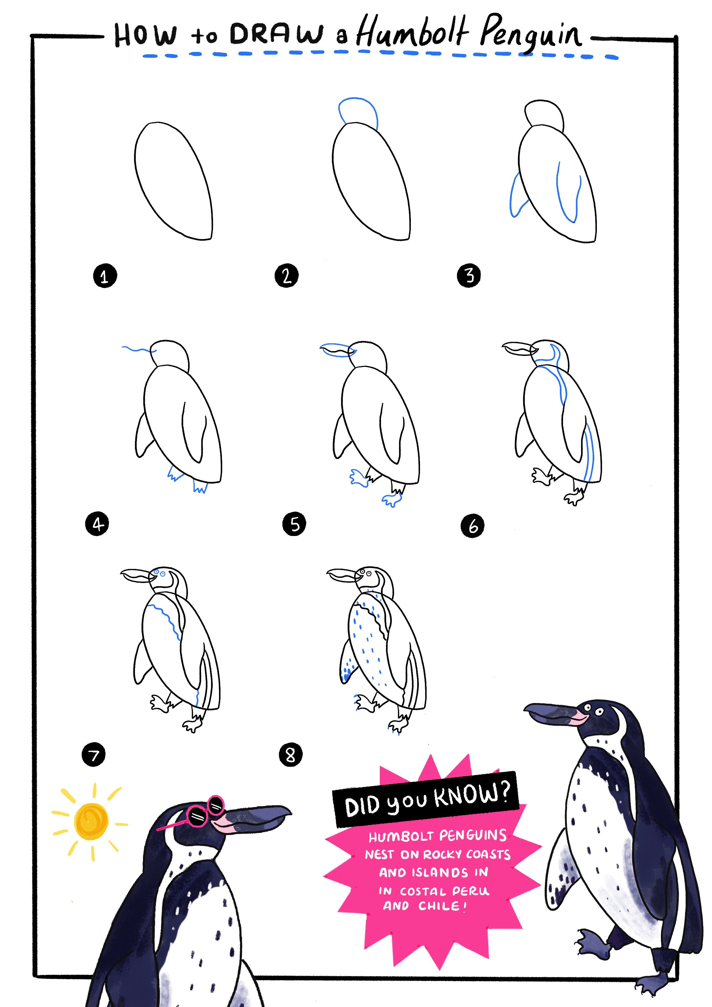 How_to_draw_Penguin.jpg