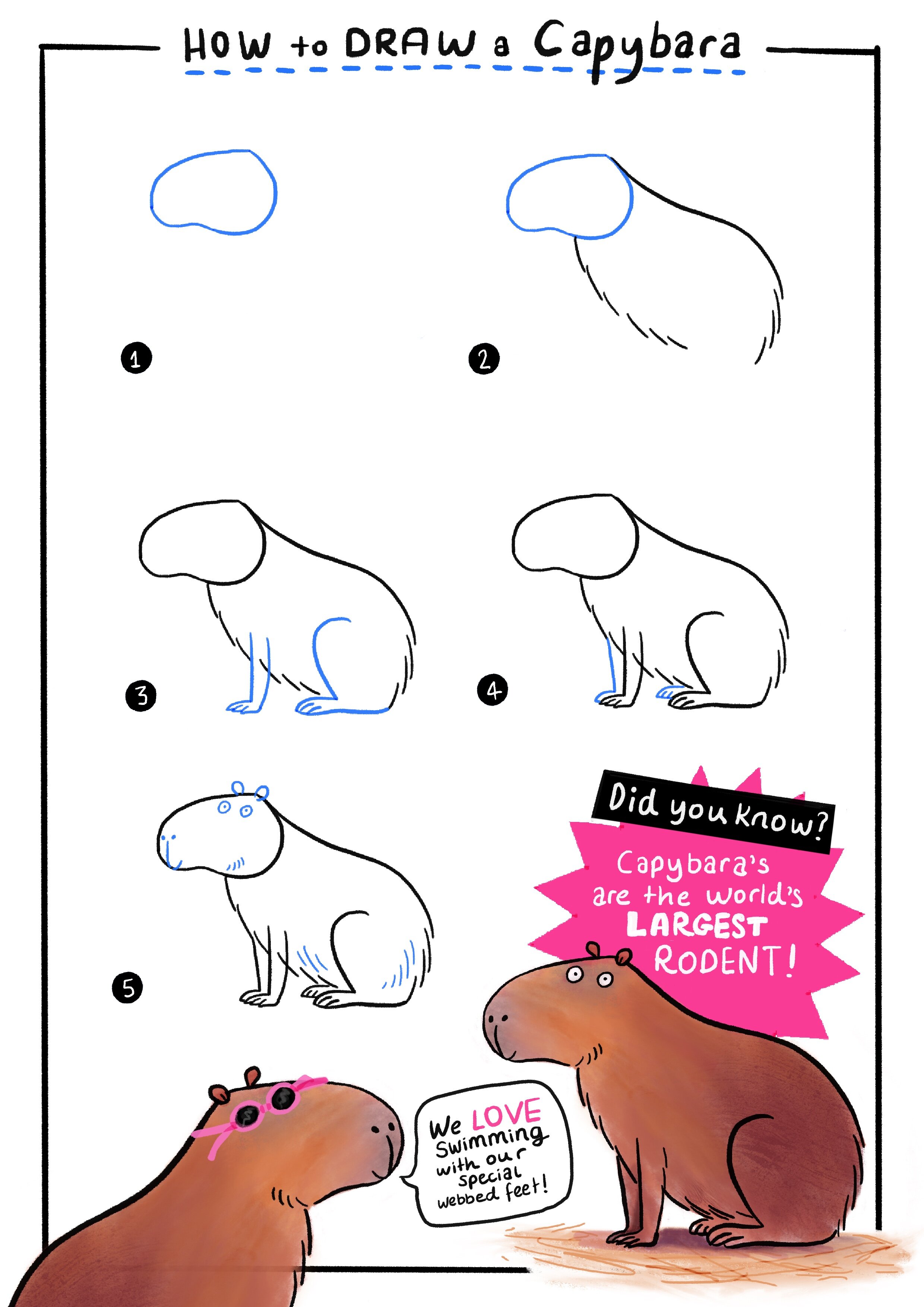 How_to_draw_Capybara.jpg
