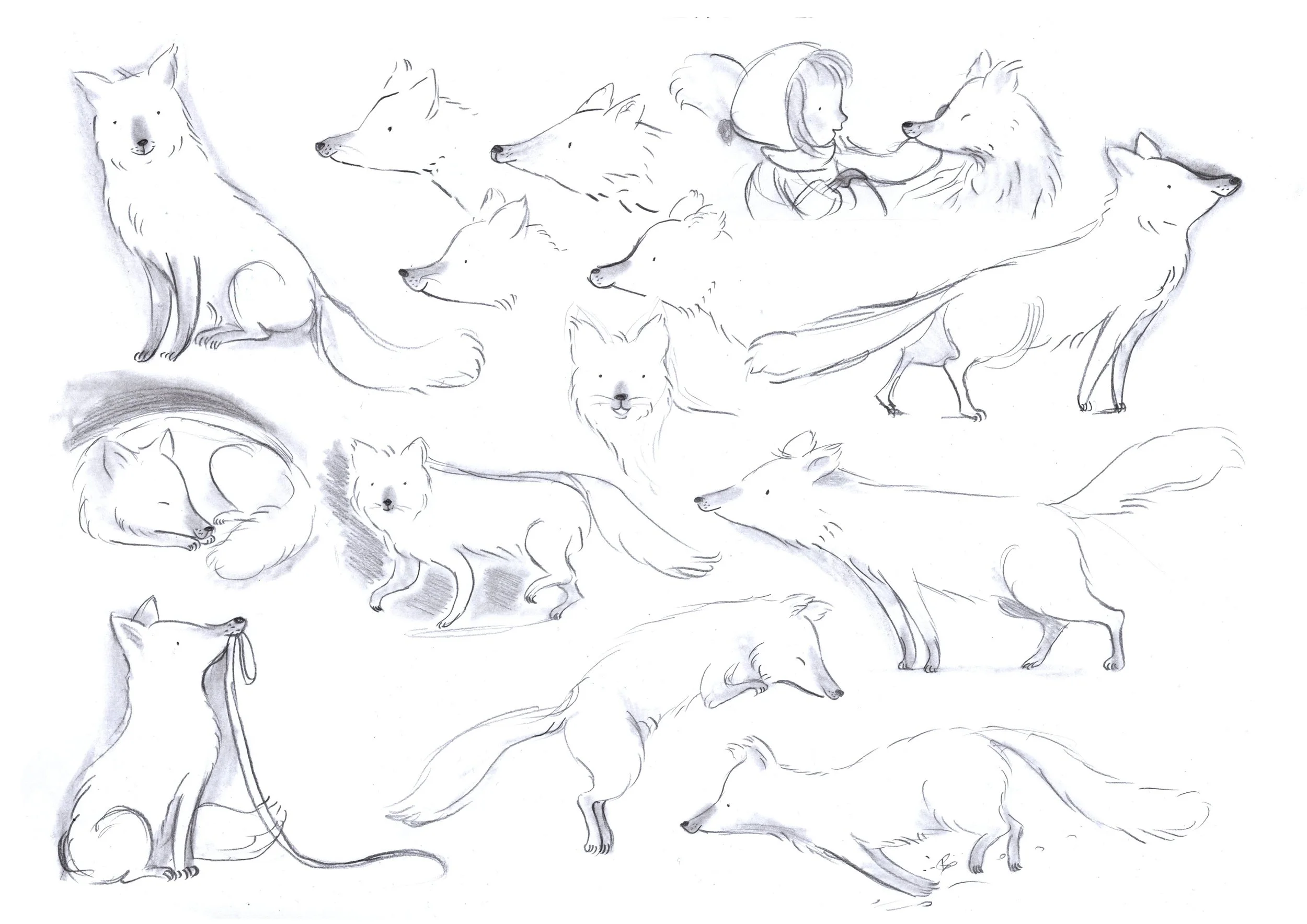FF_Charactersheet_fox.1.jpg