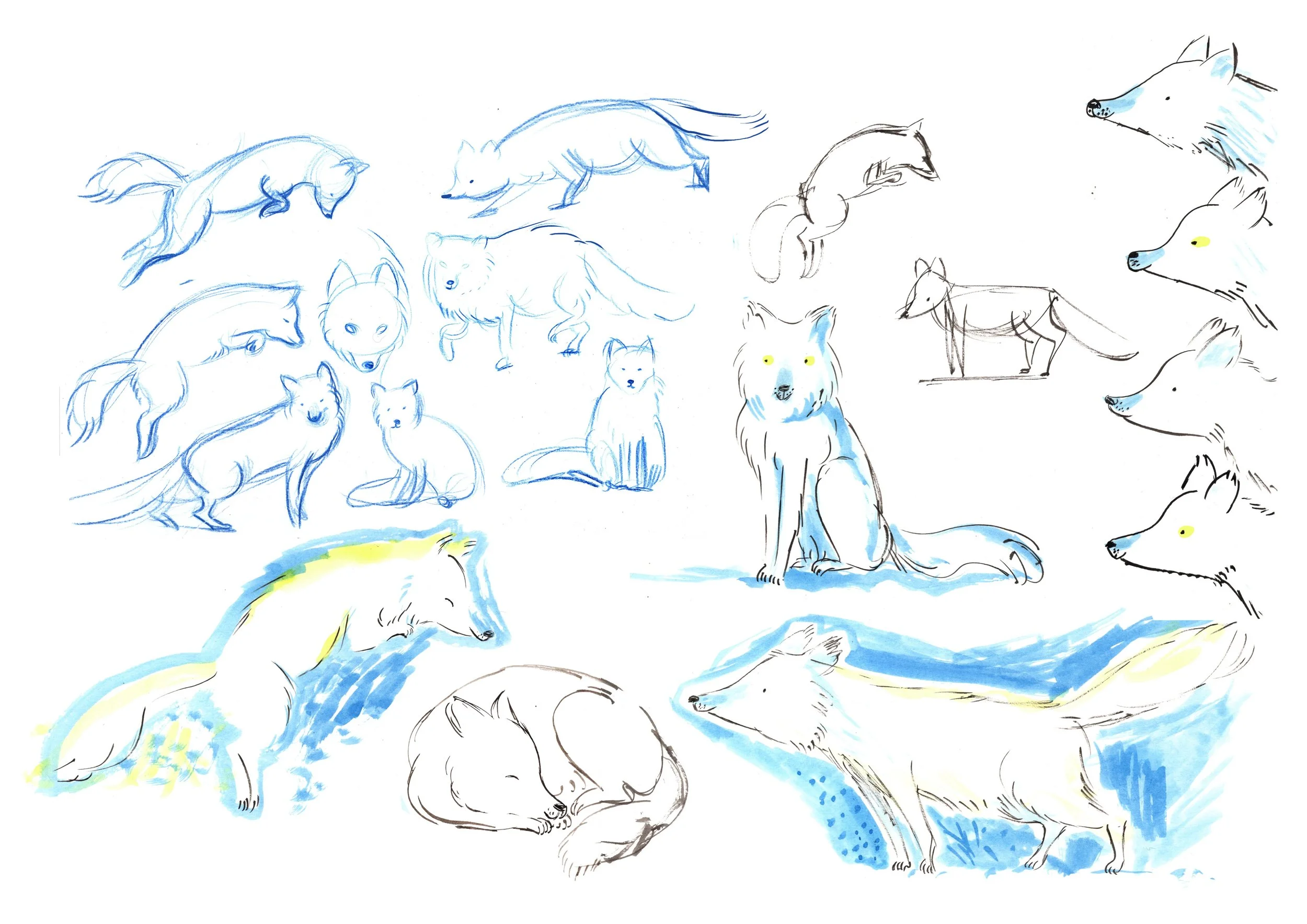 FF_Charactersheet_fox.jpg