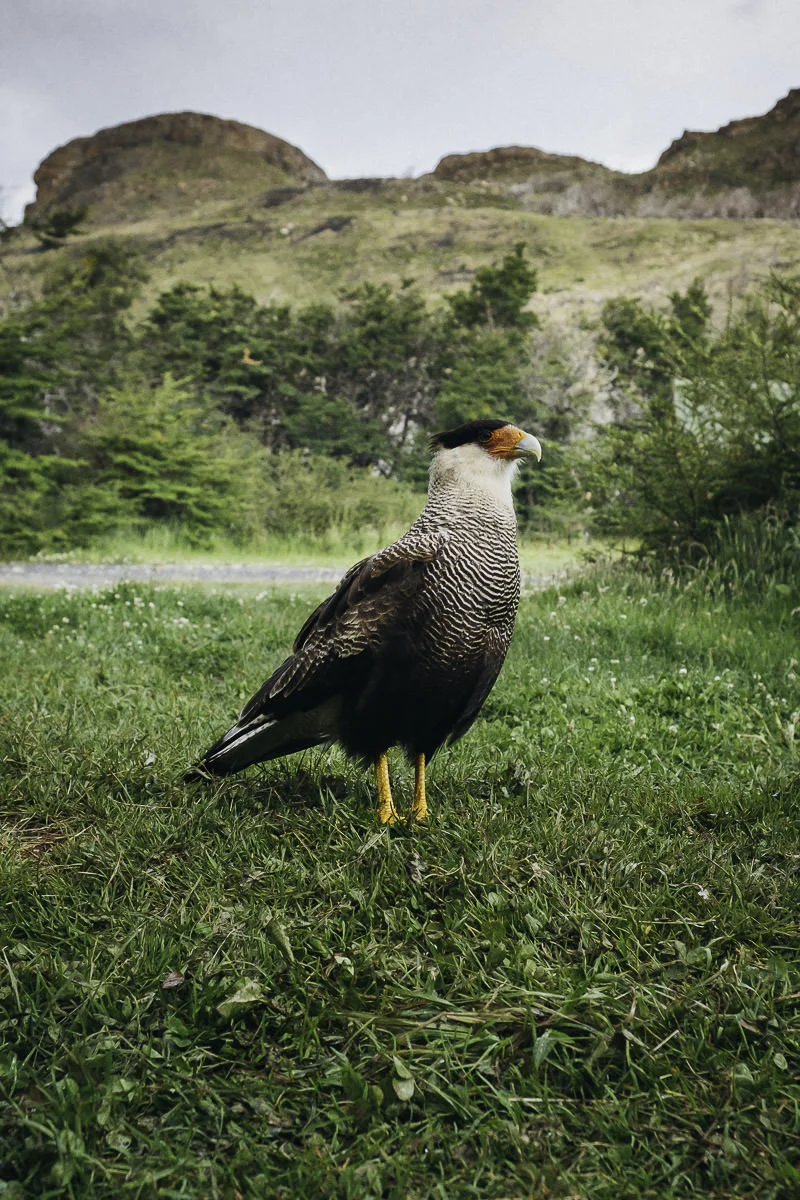 DSCF8240.jpg