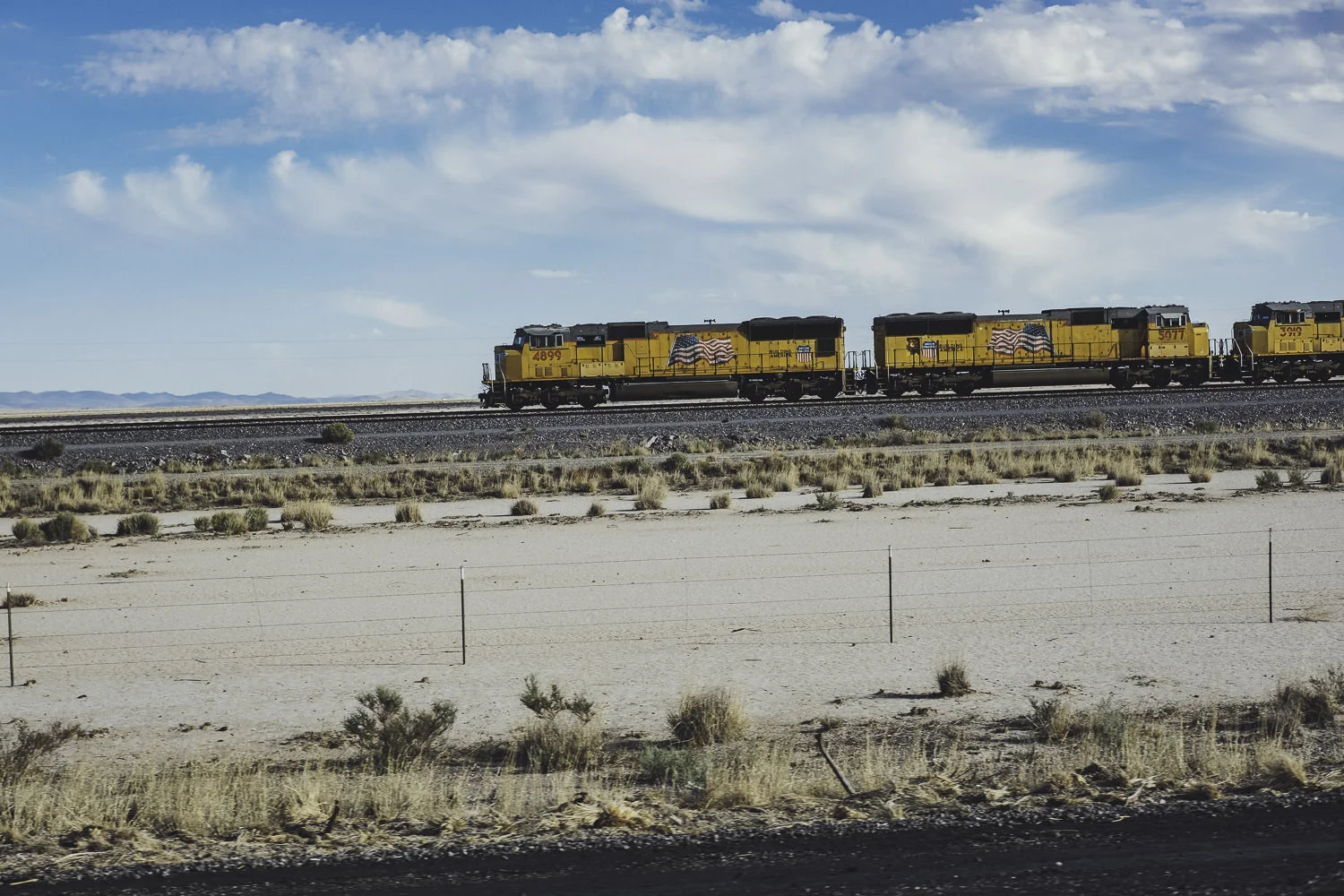 _DSF3807.jpg