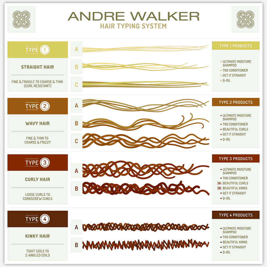 A chart of Andre Walker’s hair typing system// Taken from the Black Hair Spot