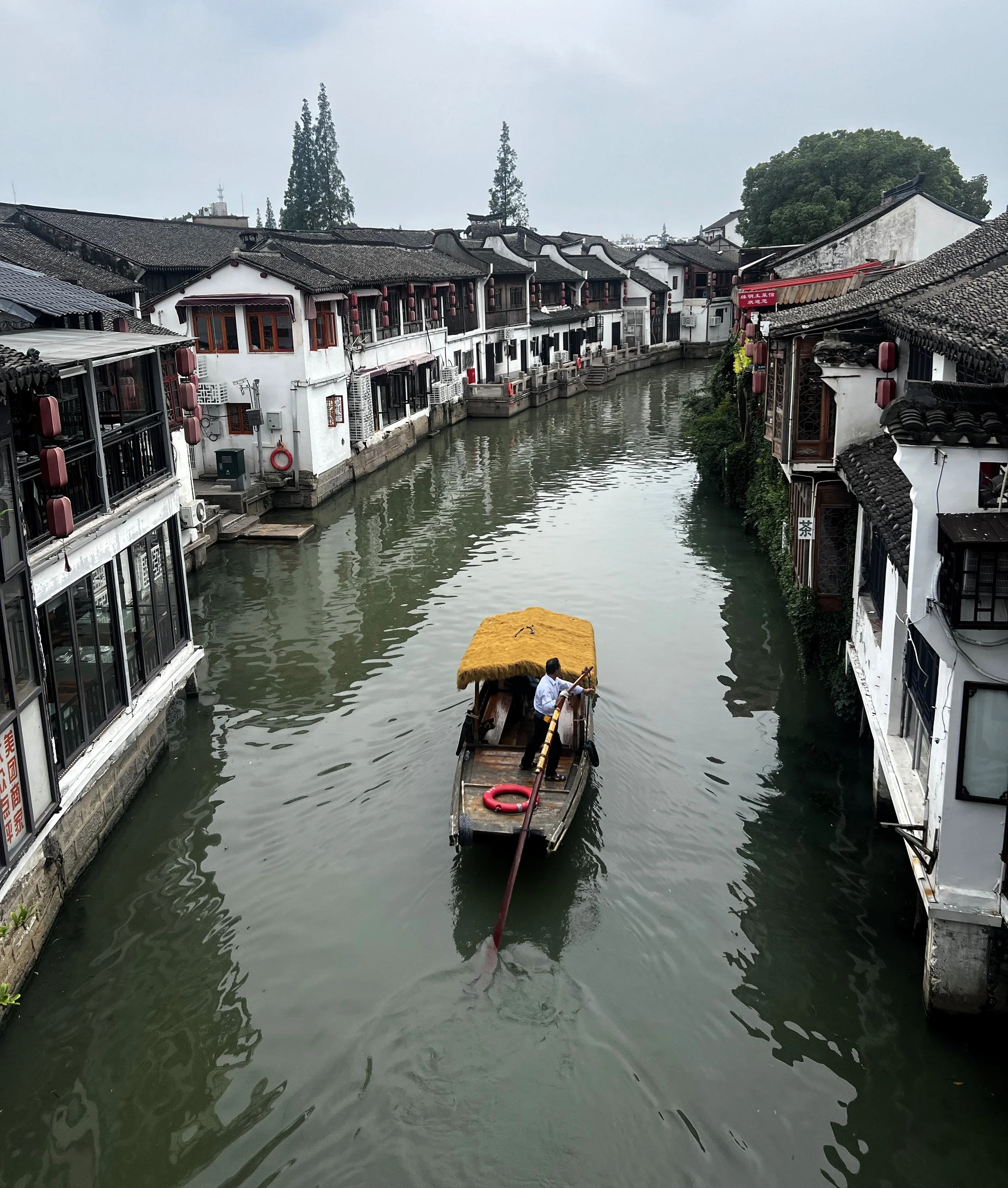 Cecilia Andino 3.jpeg