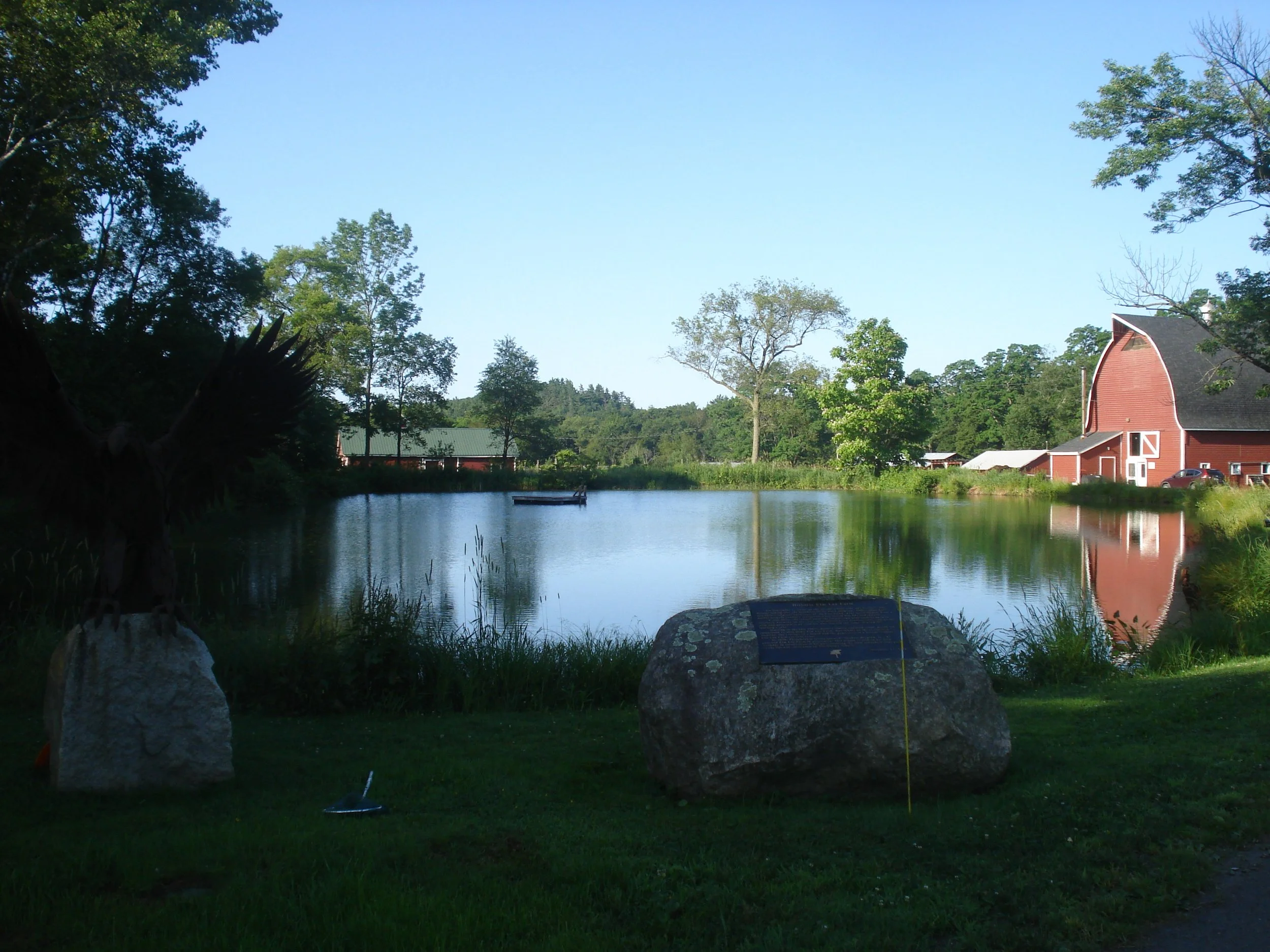 Ariana Galvez 1.jpeg