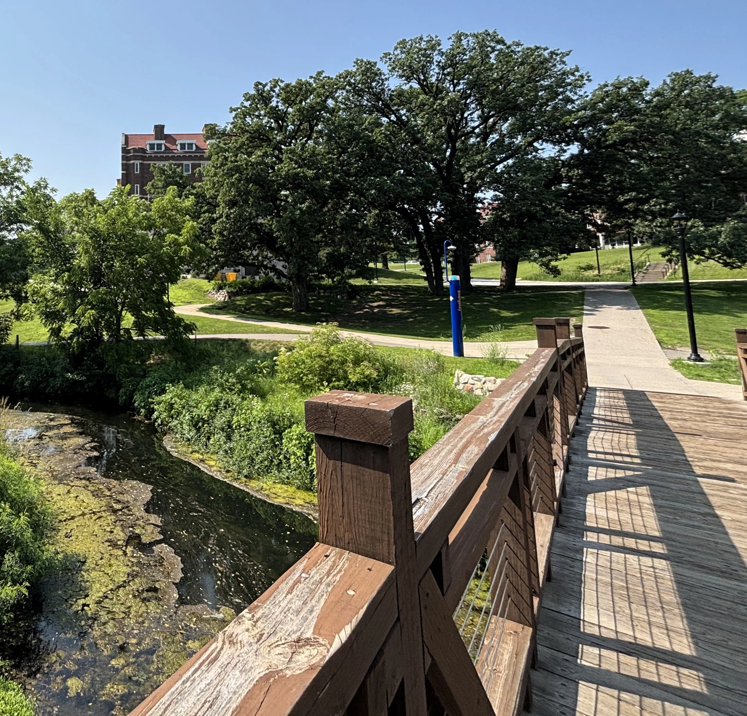 Brayan Garcia 2.jpeg