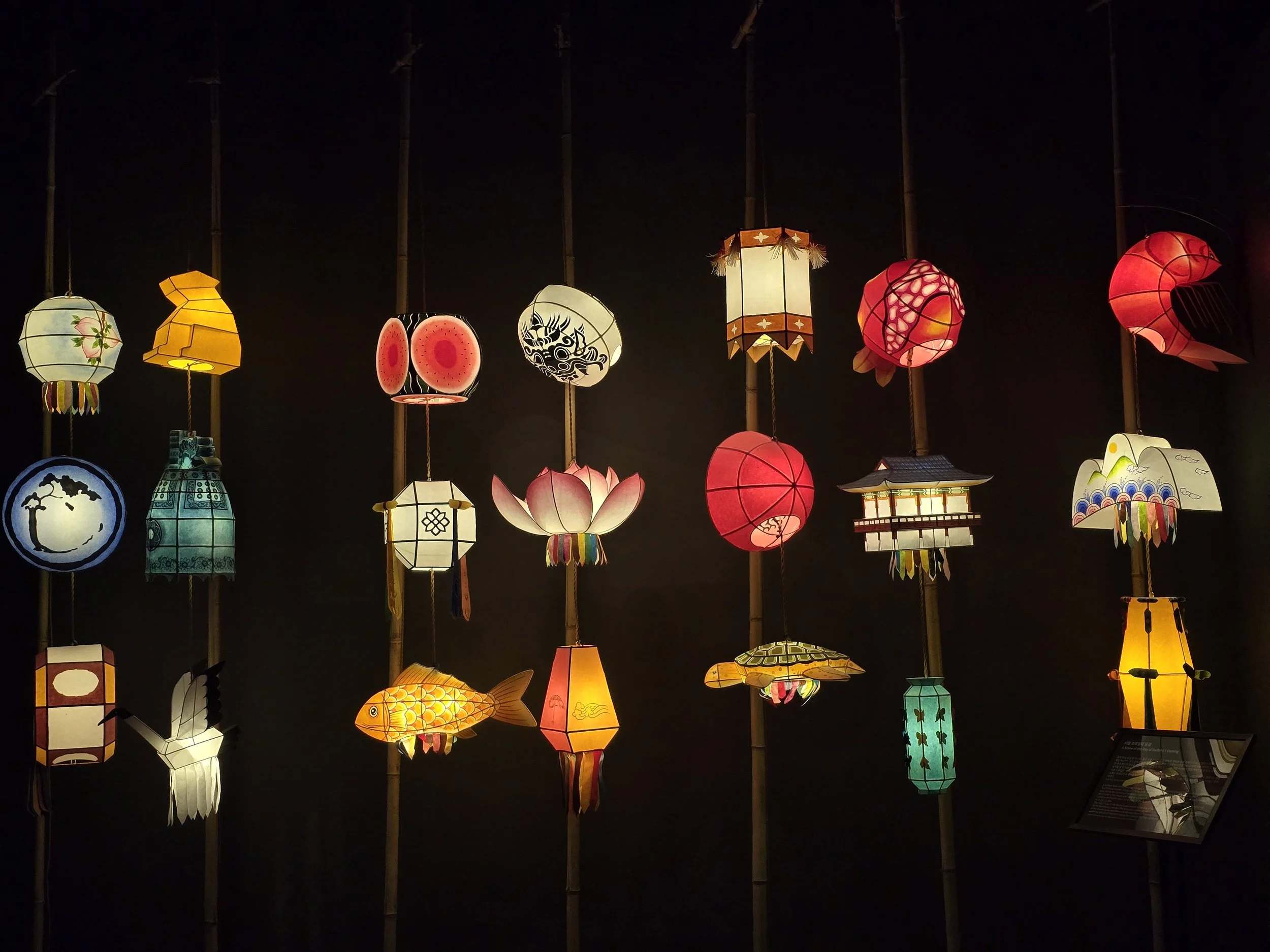 Christian Munoz 2.jpeg