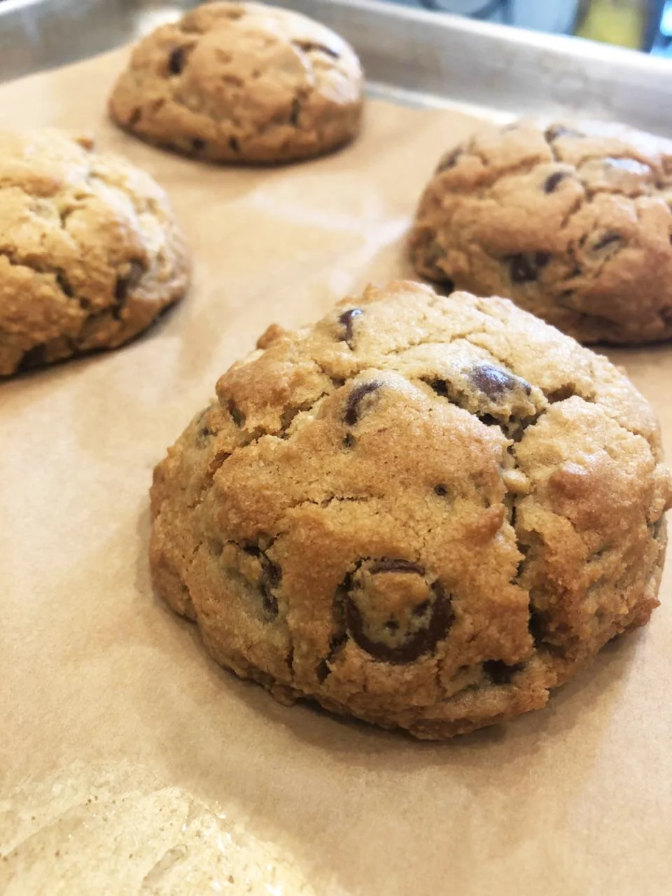 Tributary-Choc-Chip-Buckwheat-Crisp-Cookie.jpg
