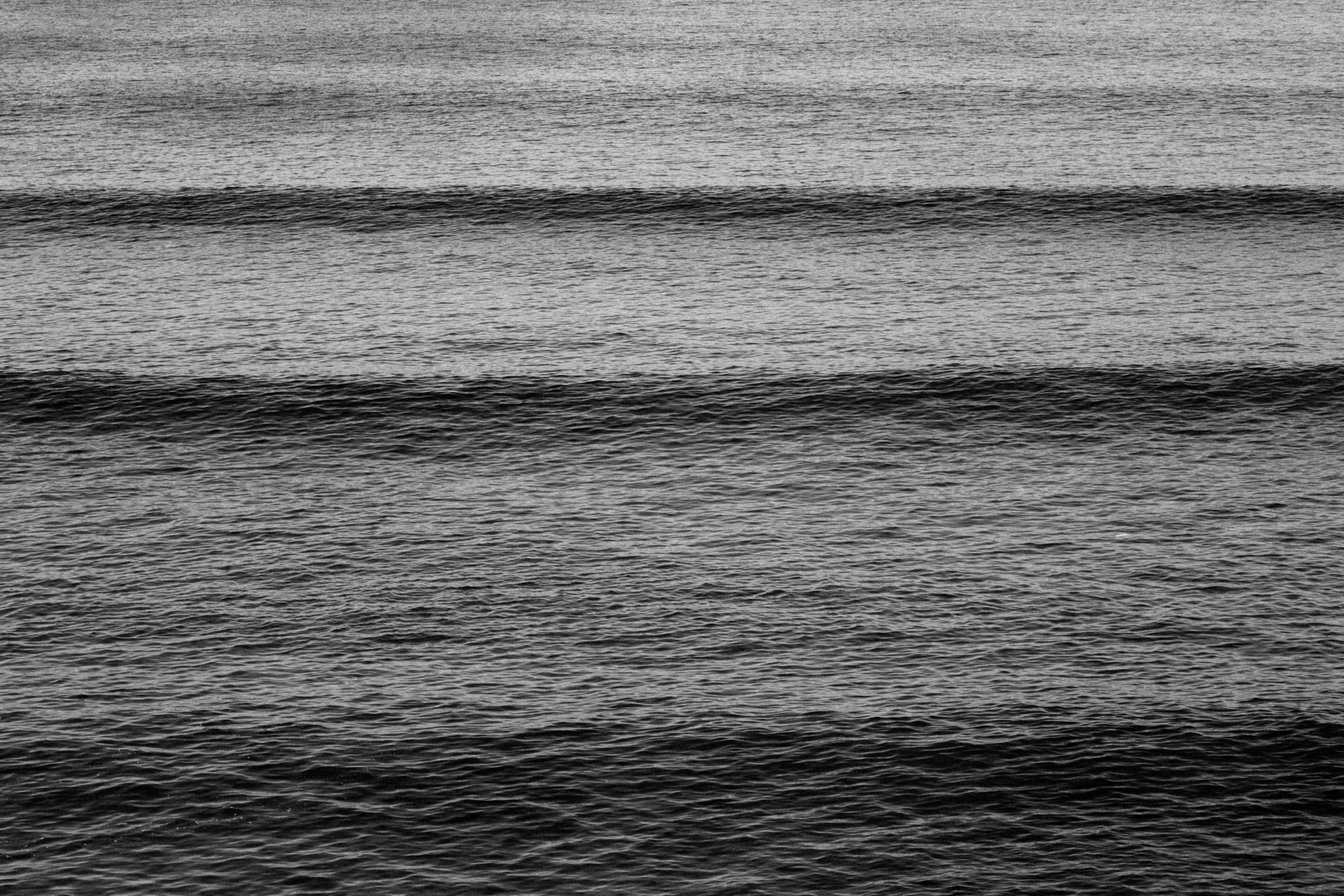 _MG_9614.jpg