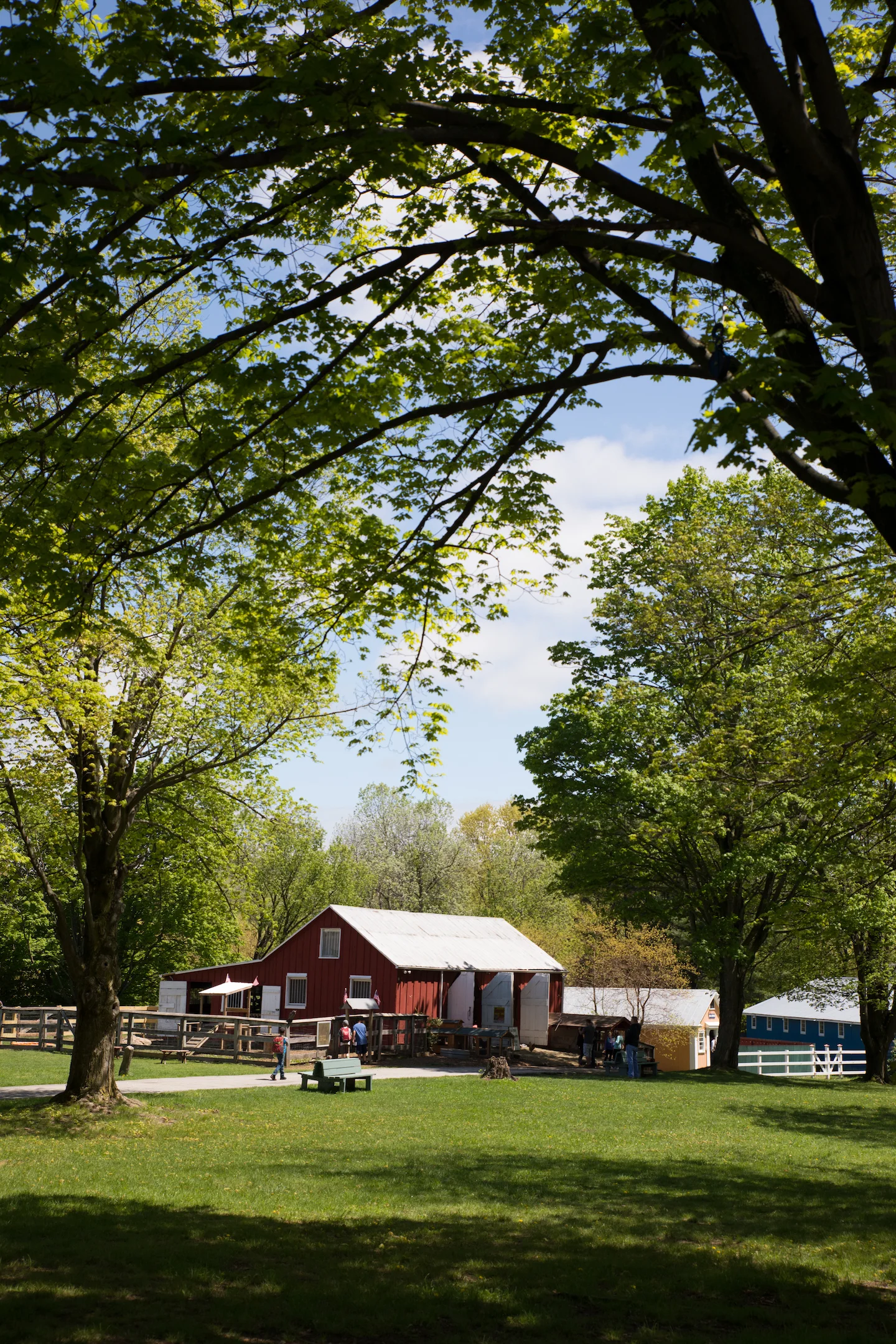 Museum_Village_Shay_Frey_Photography_00051.jpg