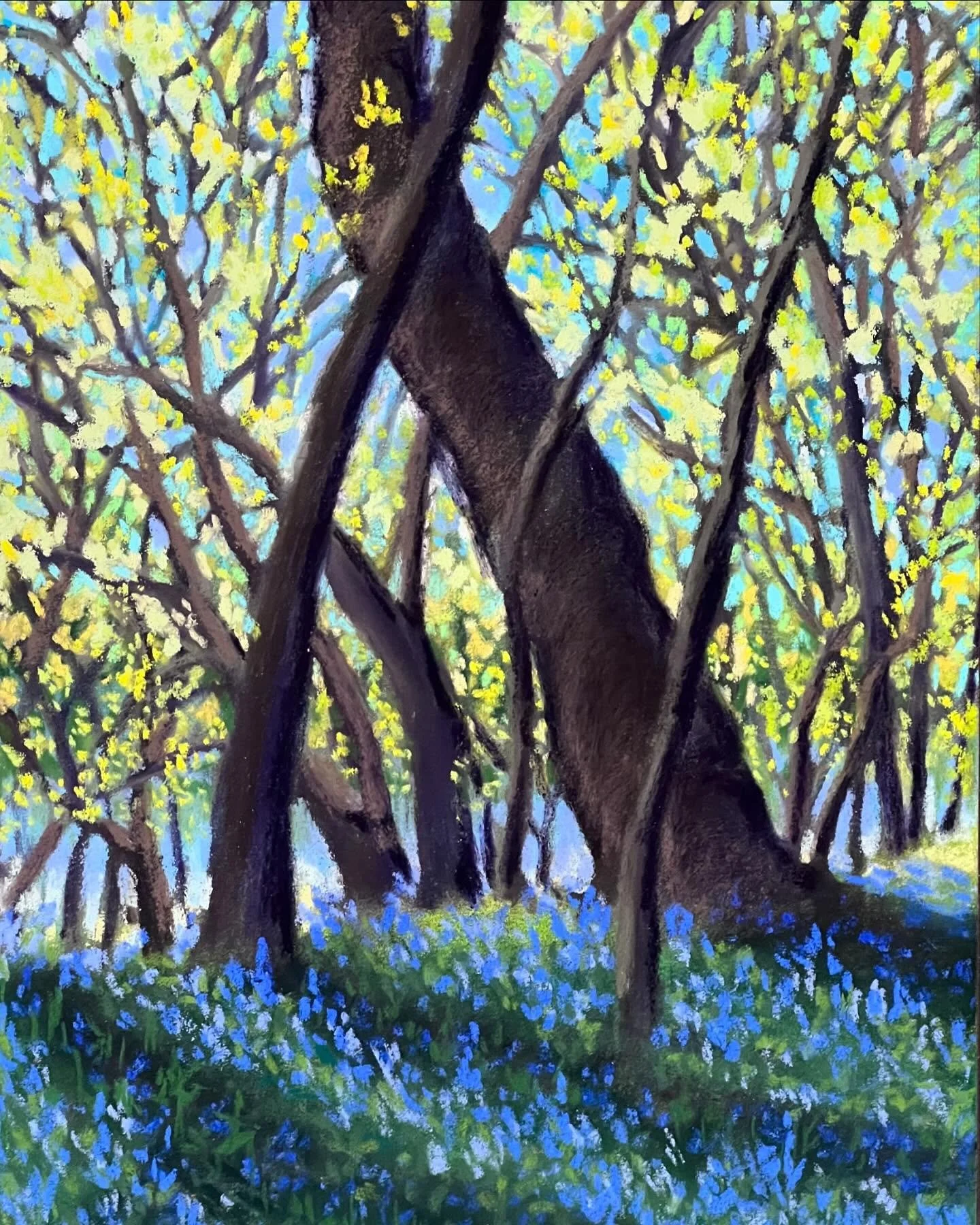 Here is another Balls Bluff Blue Bells next to the Potomac River. Soft Pastel, 9.5x12.5 

#bluebells #Virginia #softpastel #amyberringer #buylocalart #ballsbluffbattlefieldpark