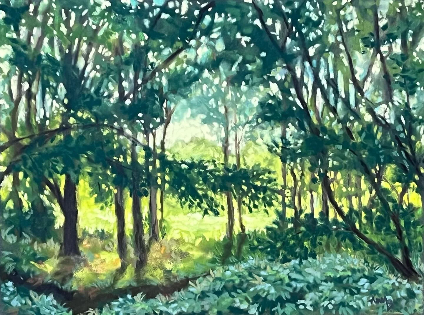 Backlight, soft pastel 9x12

#softpastel #amyberringer #virginia #pastel #artist #buyart #makersgonnamake #painting #loudouncountyva