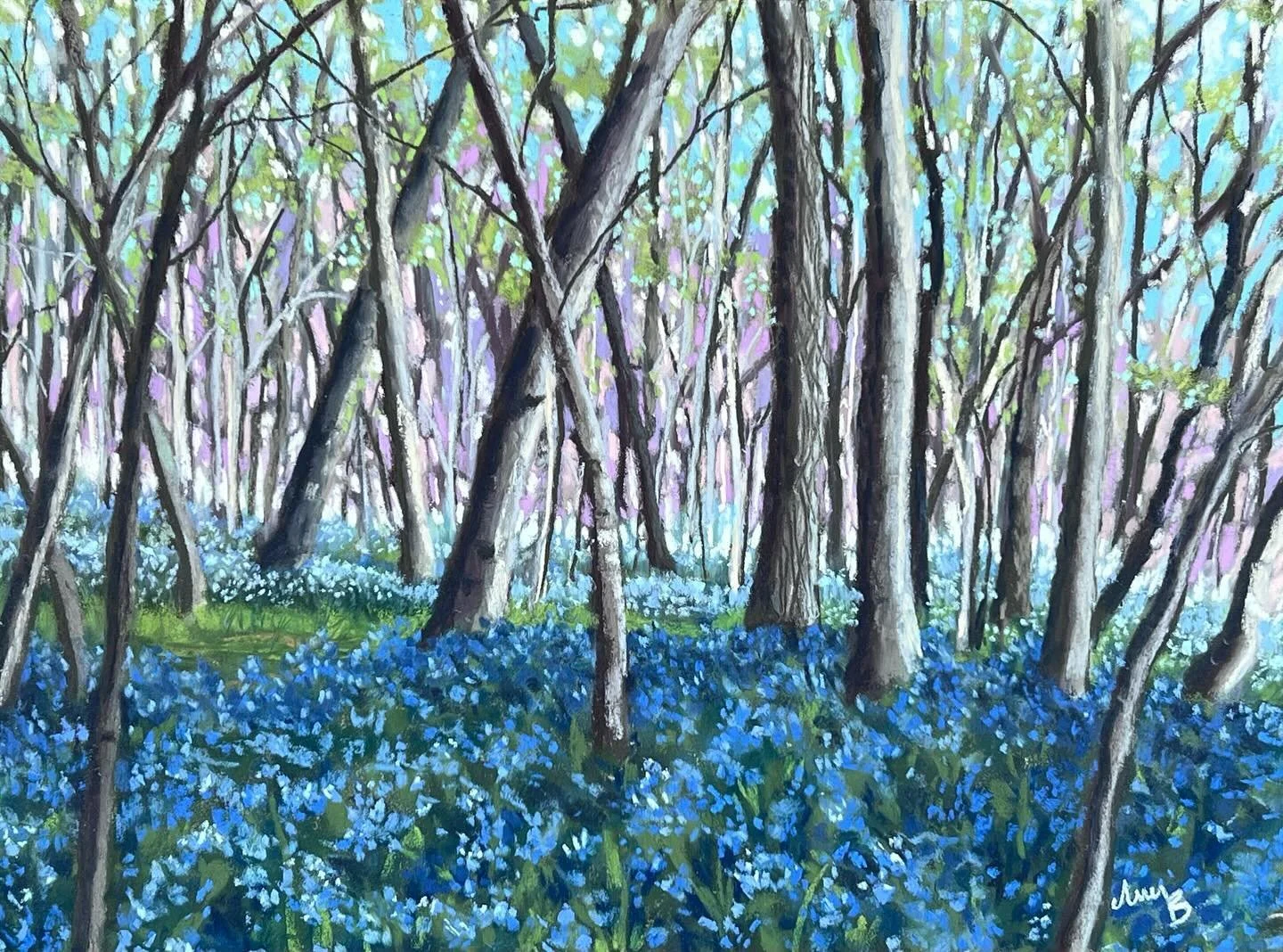 Balls Bluff Blue Bells
