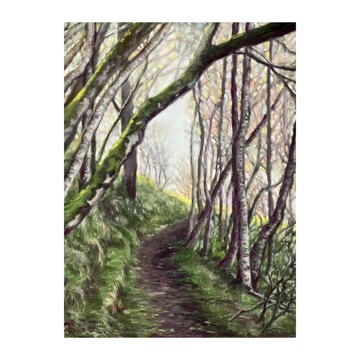 Happy New Year! I have been painting, just haven&rsquo;t been posting. This new piece was created from a photo I took in Scotland. I loved the angles of the trees and the moss growing on them. Not sure what to title it yet&hellip;. any suggestions? 
