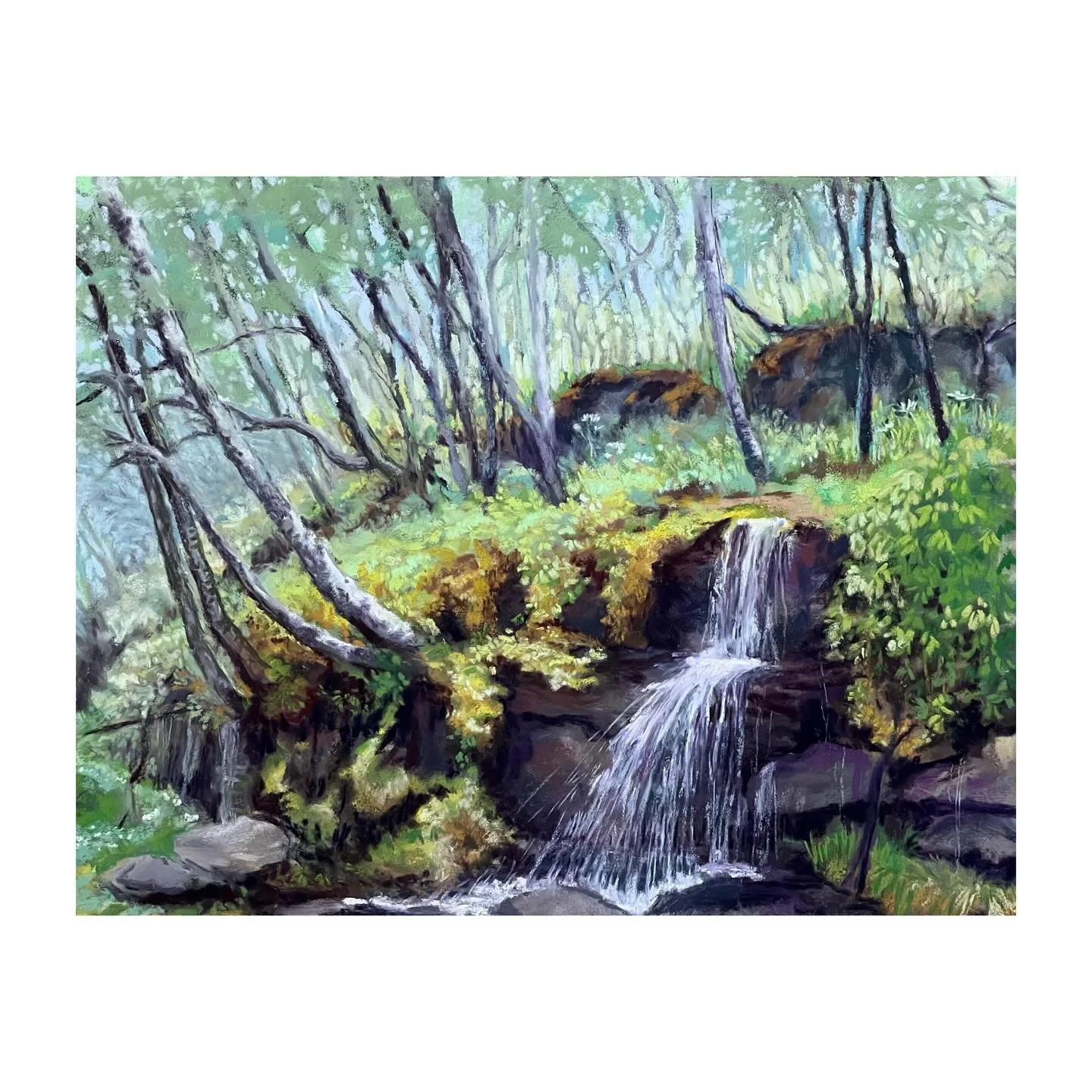 &ldquo;Norwegian Spring&rdquo; 11x14 Soft Pastel, 2023

#amyberringer #pastel #softpastel #softpastelartists #norway #buyart #loudouncountyartist #travel #makersgonnamake