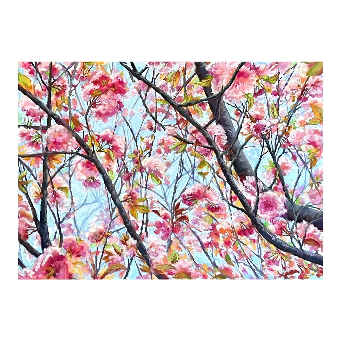 Cherry Blossoms 🌸 20x28 Soft Pastel 
I&rsquo;ve been finishing up a bunch of paintings for an upcoming Black Friday Show at Stone Tower Winery. Mark your calendars! I&rsquo;ll post more info soon!
#softpastel #amyberringer #loudouncounty #blackfrida