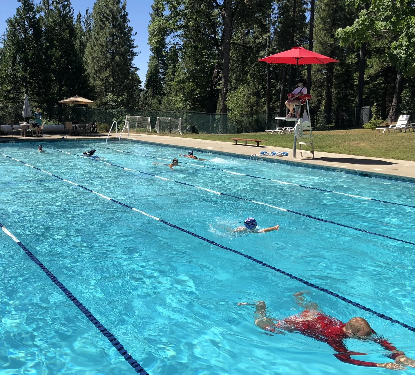 Latest News! — Big Trees Village Property Owners Association