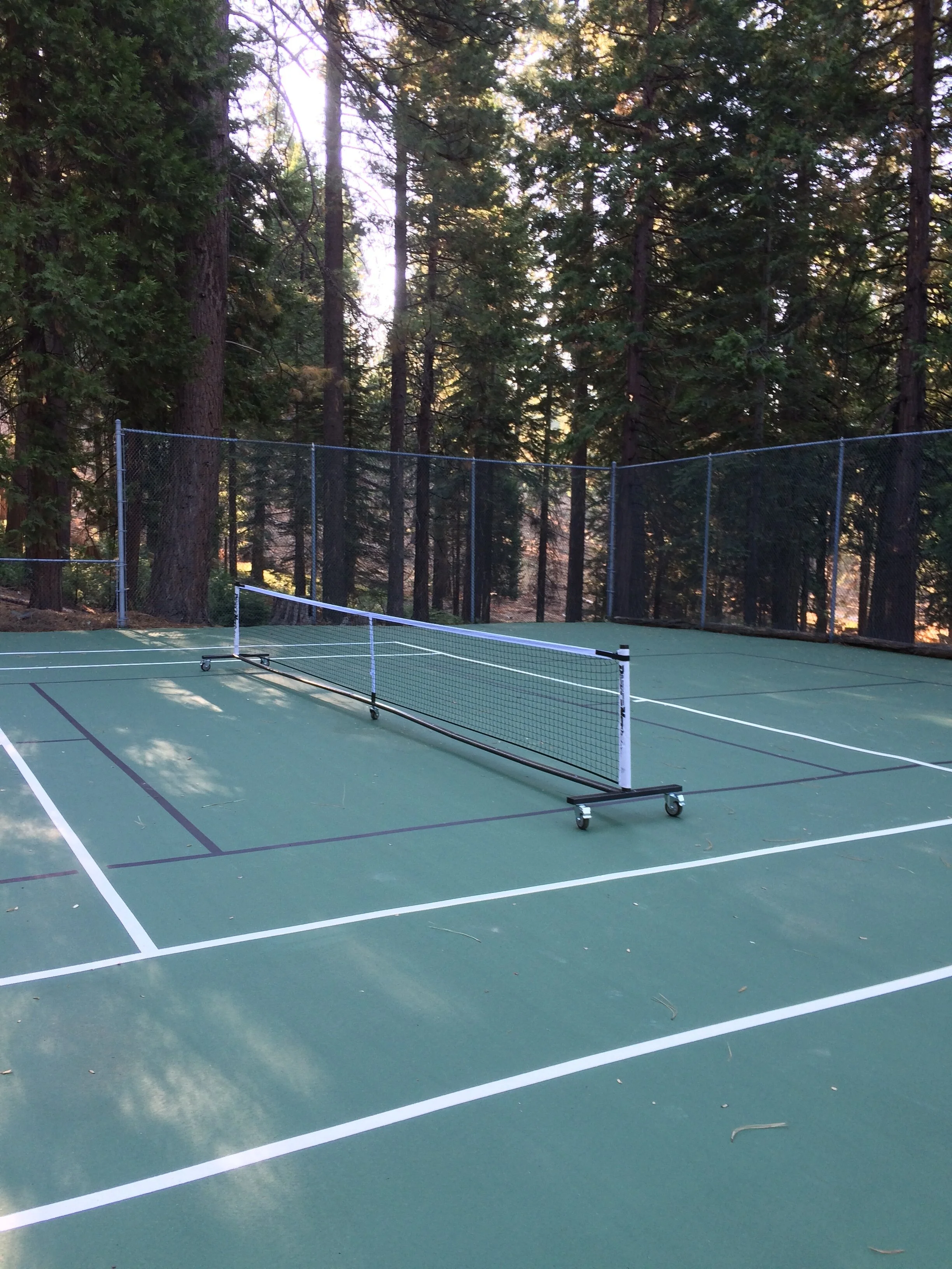 Pickleball net.JPG