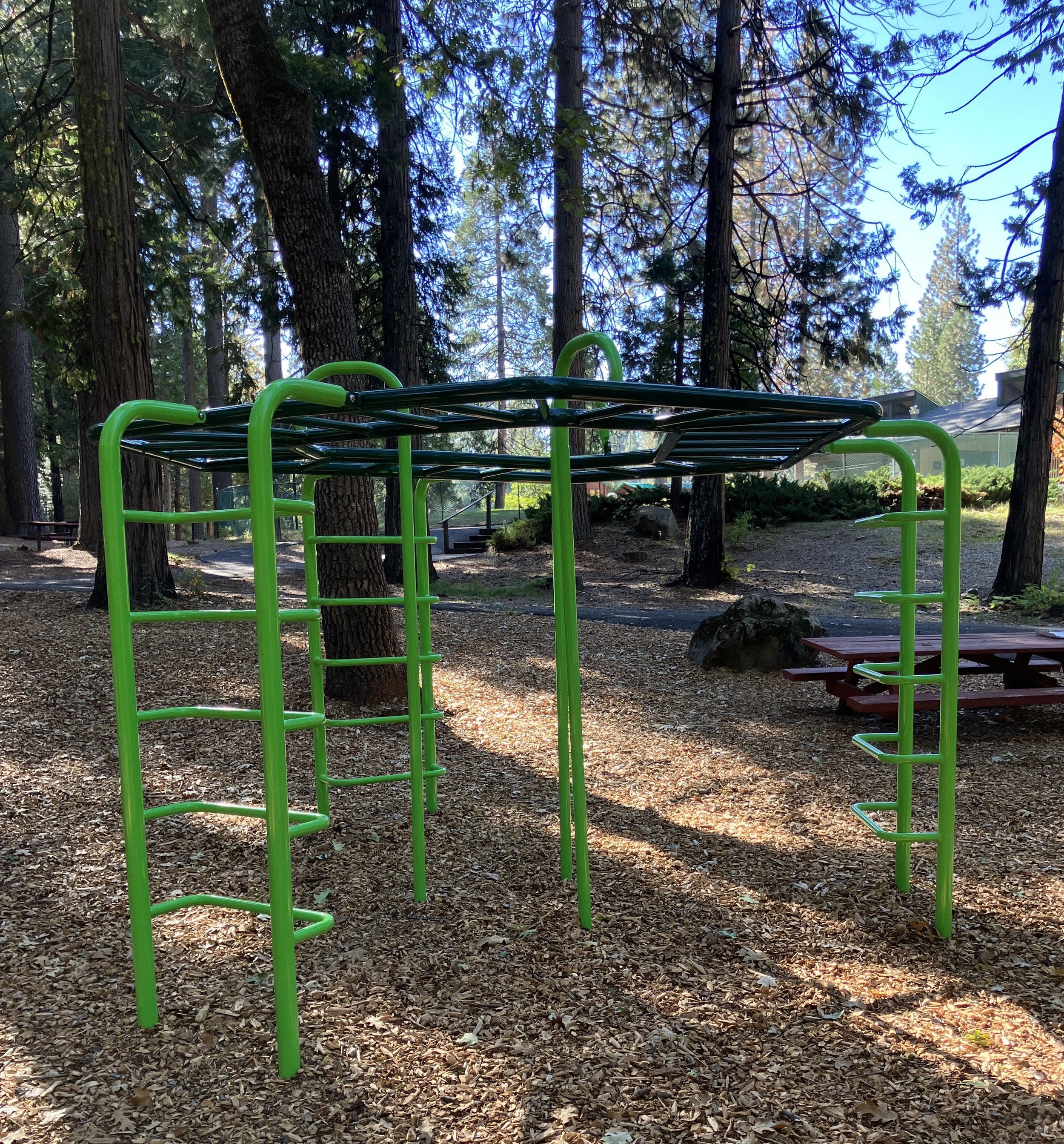 Playground monkey bars.jpg