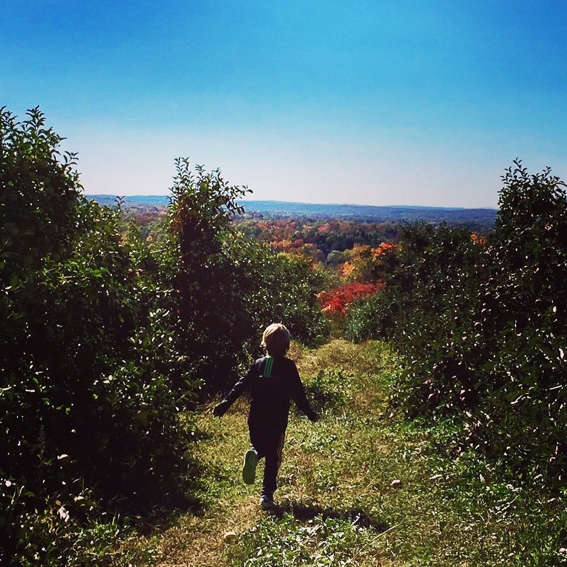 Remembering the fall #upstatenewyork #applepicking  #makegoodmemories #perennialtravels #archives