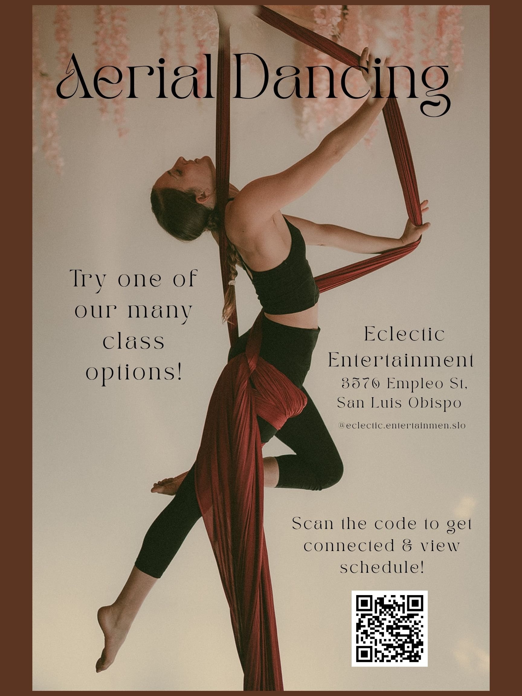 Adult Aerial Arts - 2.jpg