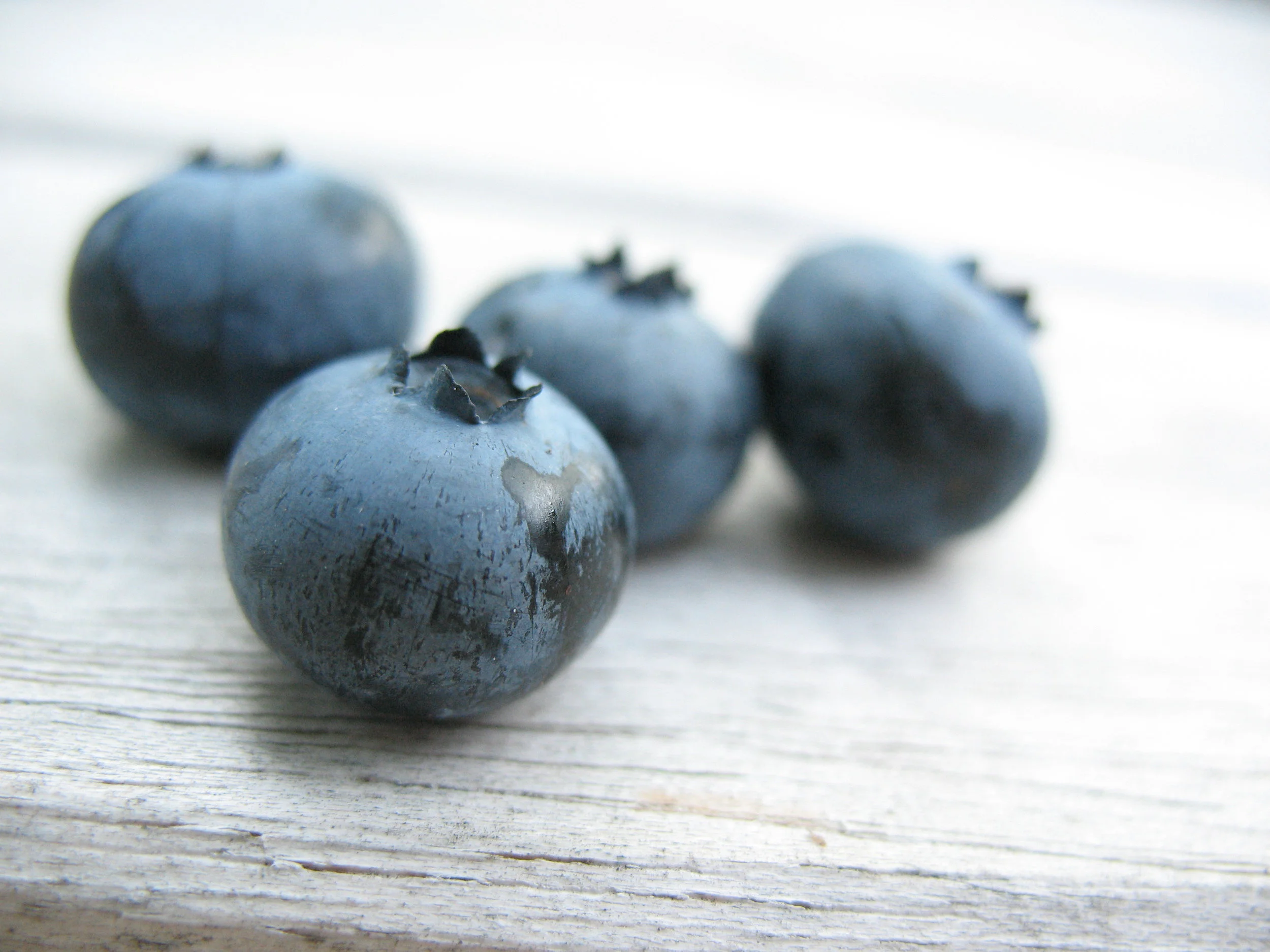 Ripe Organic Blueberries