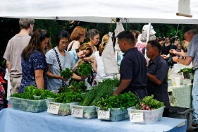 The Women's Congress Looks Forward