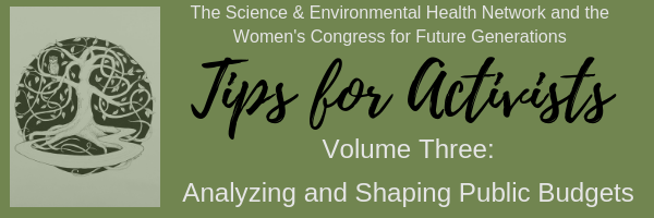 Volume Three_ Analyzing and Shaping Public Budgets (1).png