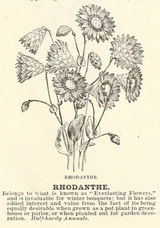 Screenshot 2026-04-17 at 10.21.50 PM.png