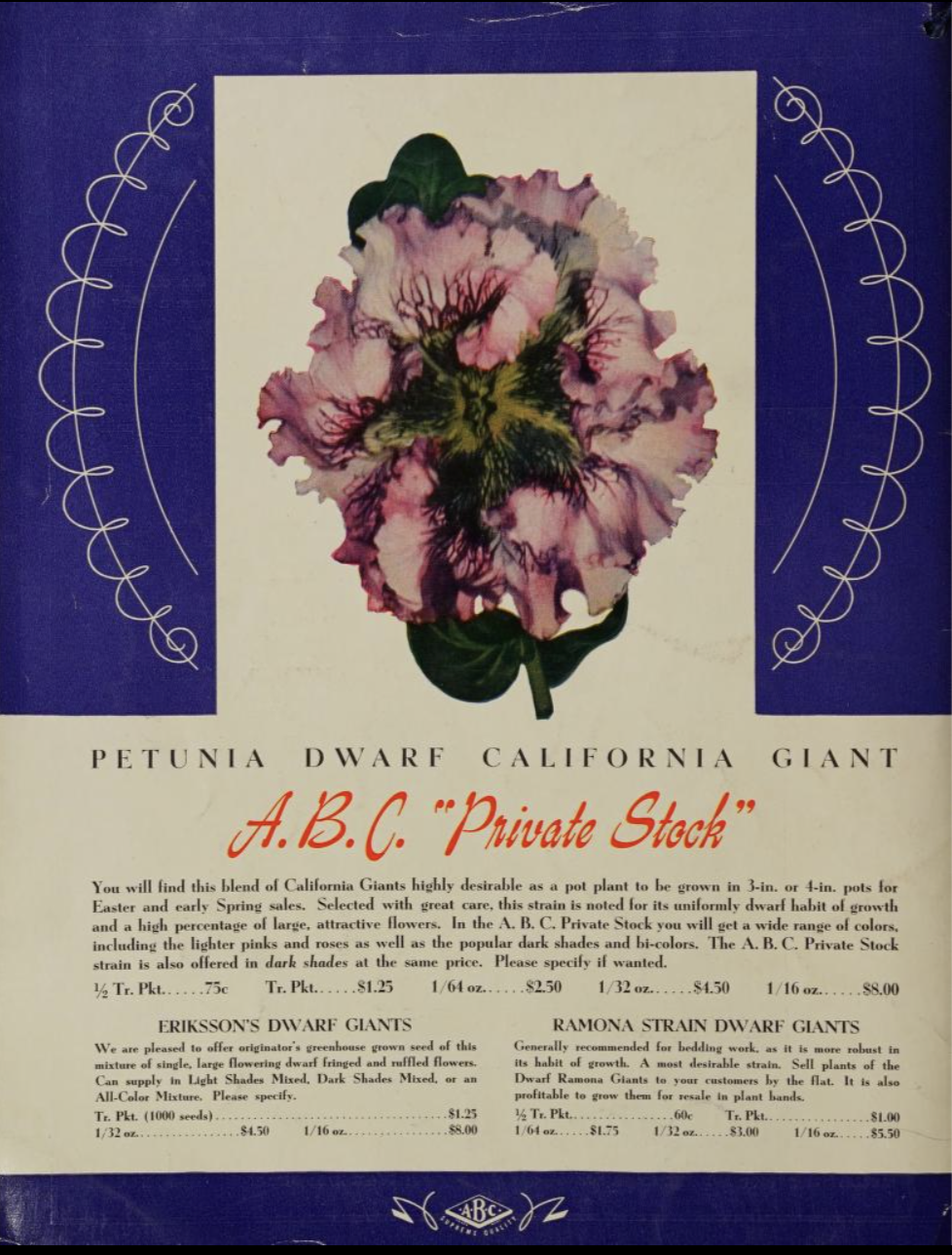 Screenshot 2026-04-17 at 10.25.48 PM.png