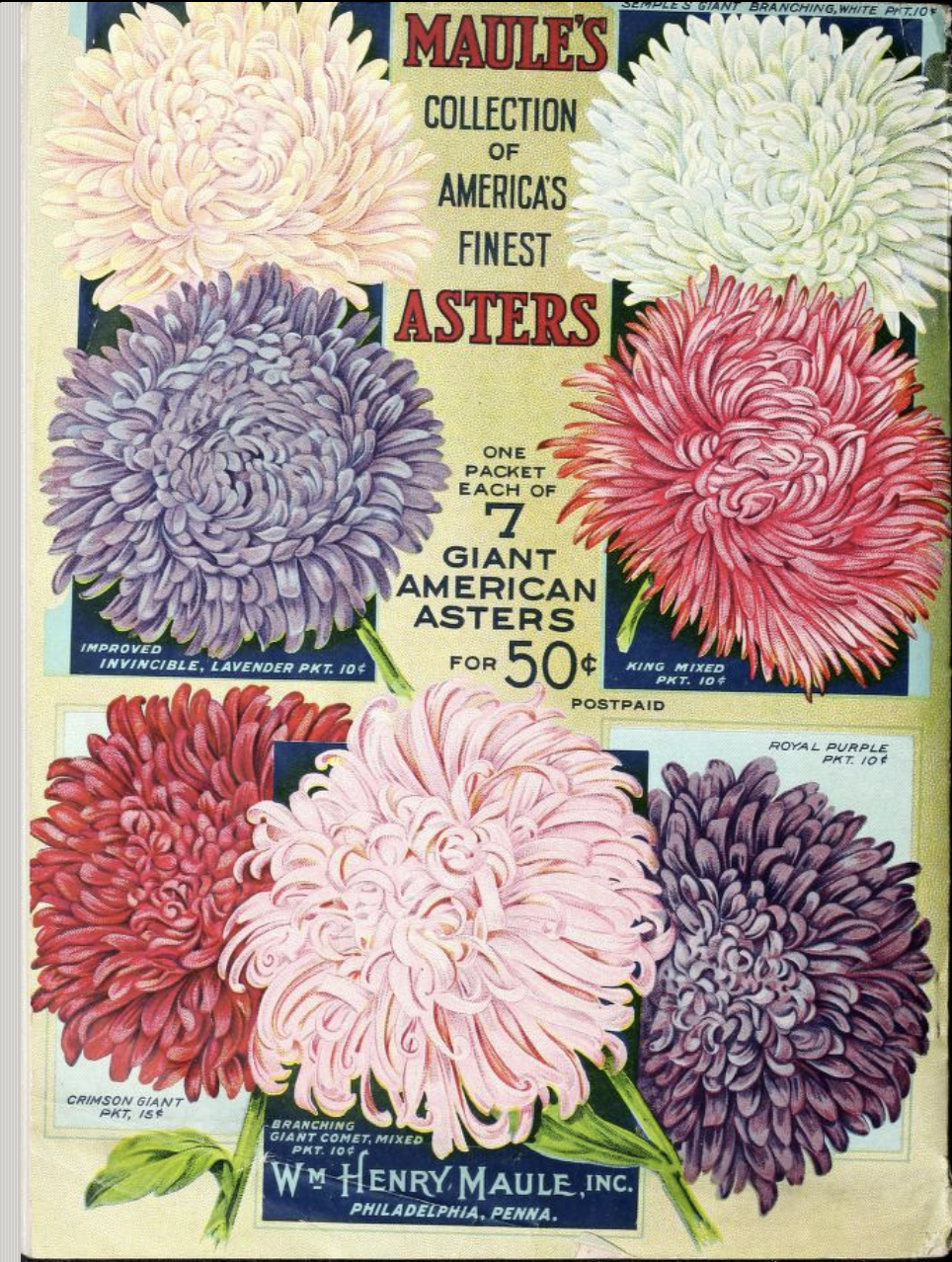 Screenshot 2026-04-17 at 10.17.39 PM.png