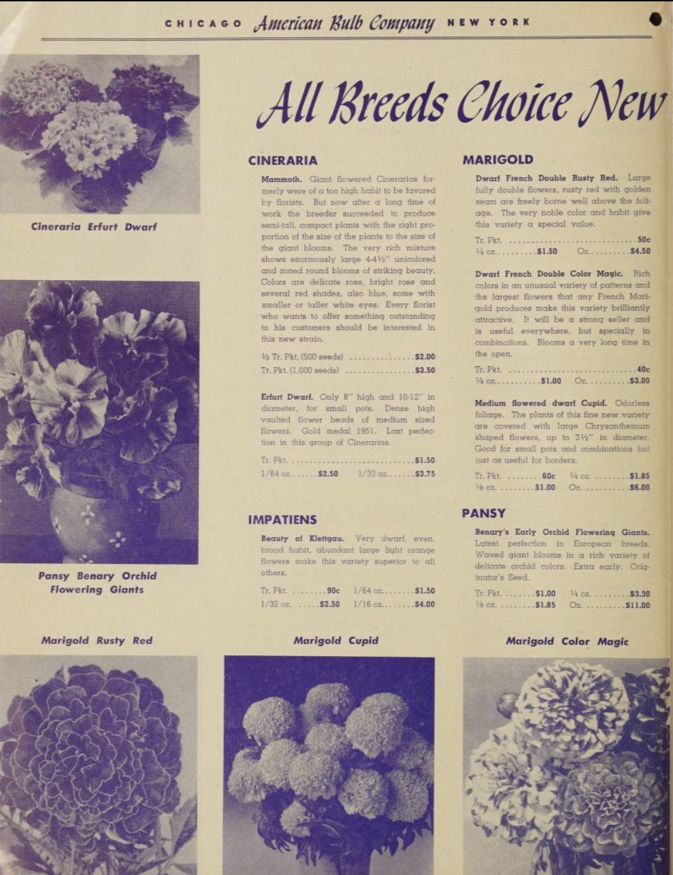 Screenshot 2026-04-18 at 8.52.09 AM.png