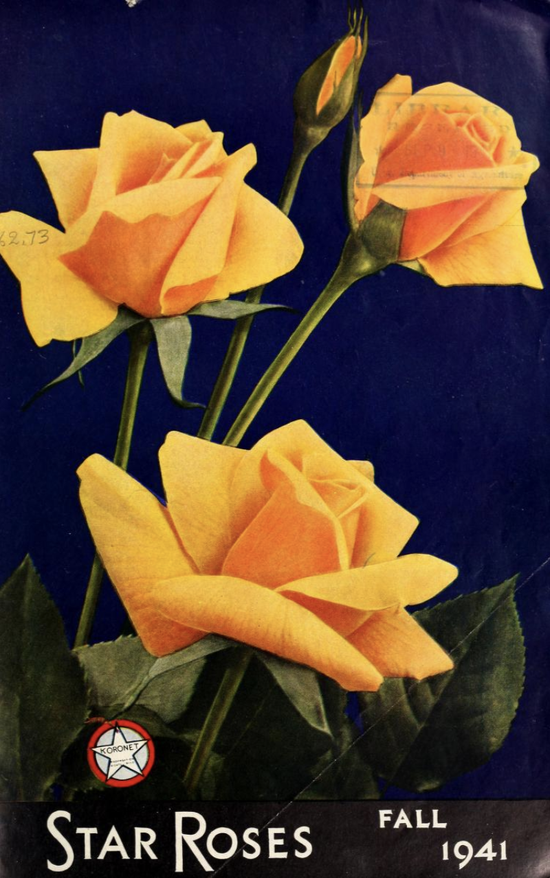 Screenshot 2026-04-18 at 8.54.18 AM.png