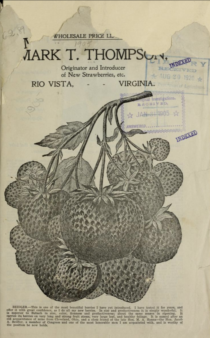 Screenshot 2026-04-18 at 8.58.11 AM.png