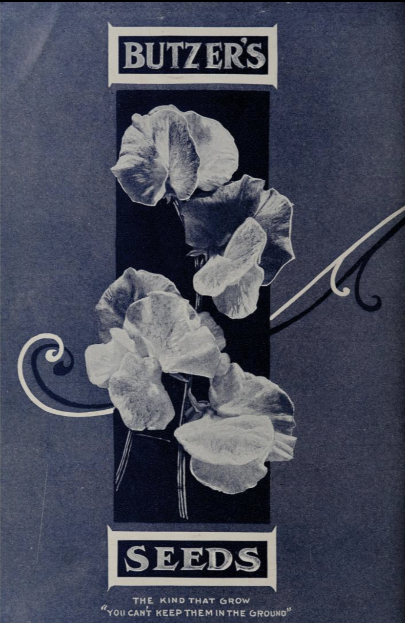 Screenshot 2026-04-18 at 9.01.29 AM.png