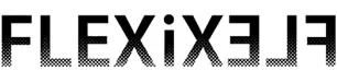flexi_logo.jpg