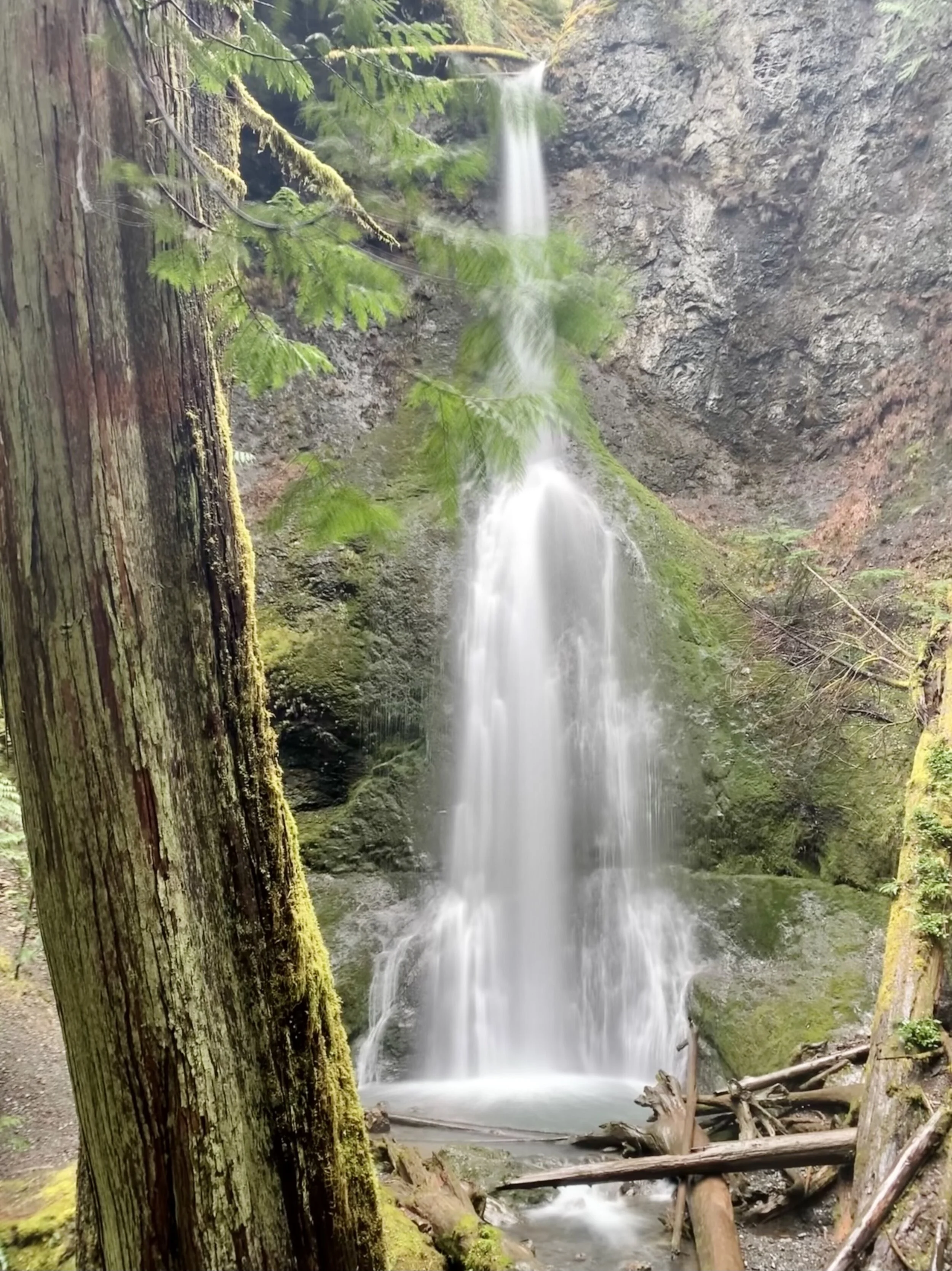 Olympic National Park Waterfalls Map Winter In The Olympic National Forest — The Trips We Take
