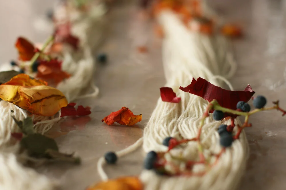 openstudio79-natural-color-yarn-rose-petals-botanical-dye.jpg
