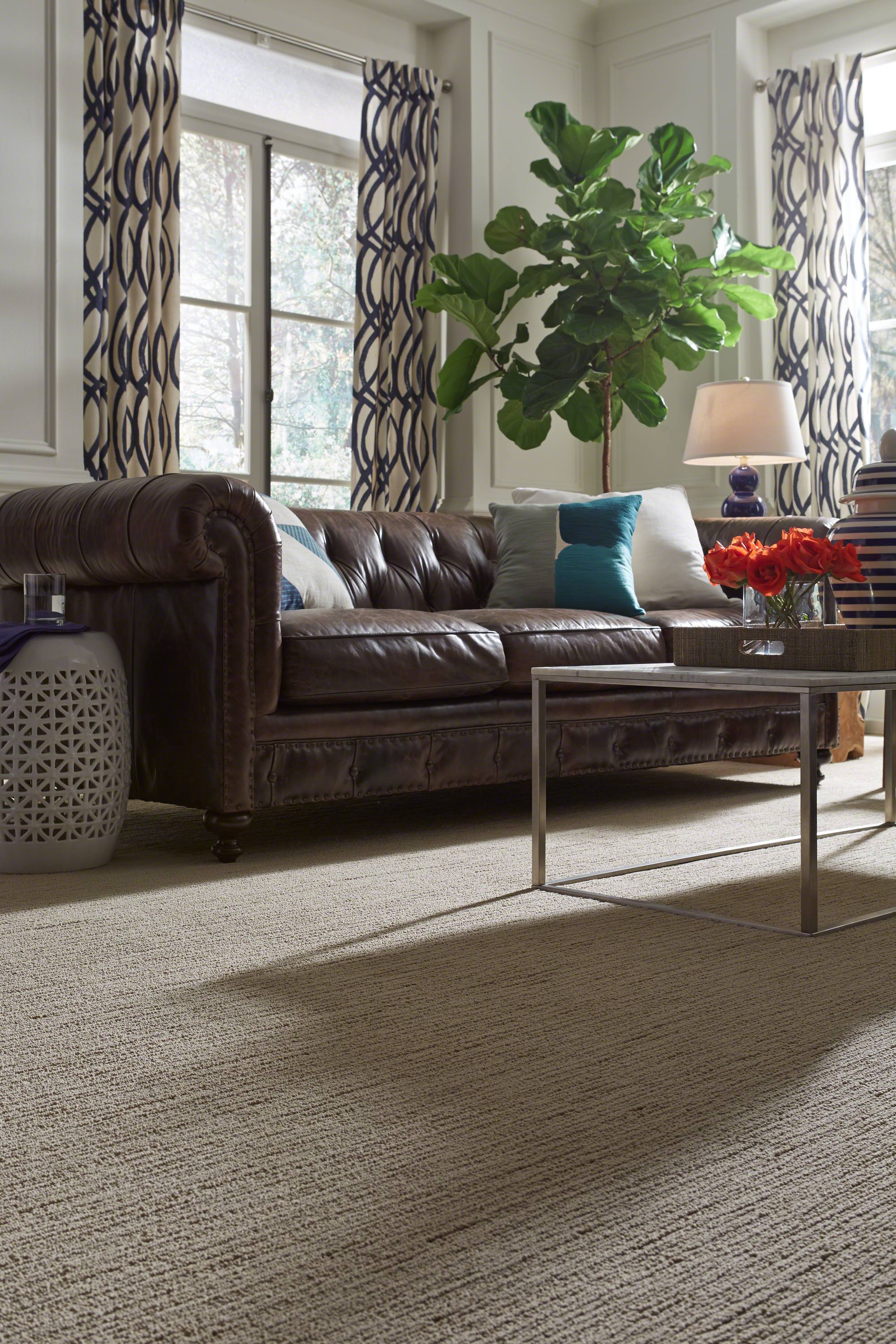 CARPET LINENWEAVE COLOR- SOFT FLEECE 2.jpeg