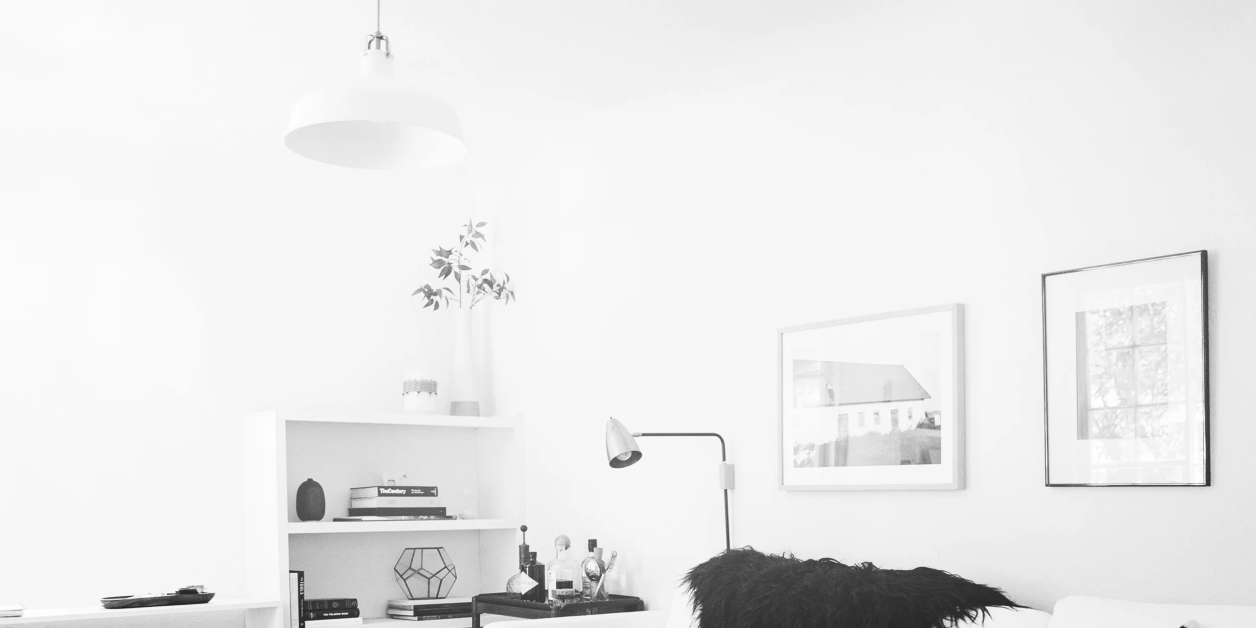header-contact-JessieWebster_Treehouse_21.jpg