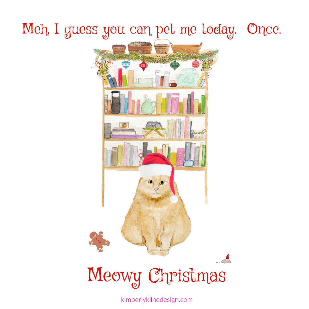 cat insta xmas.jpg