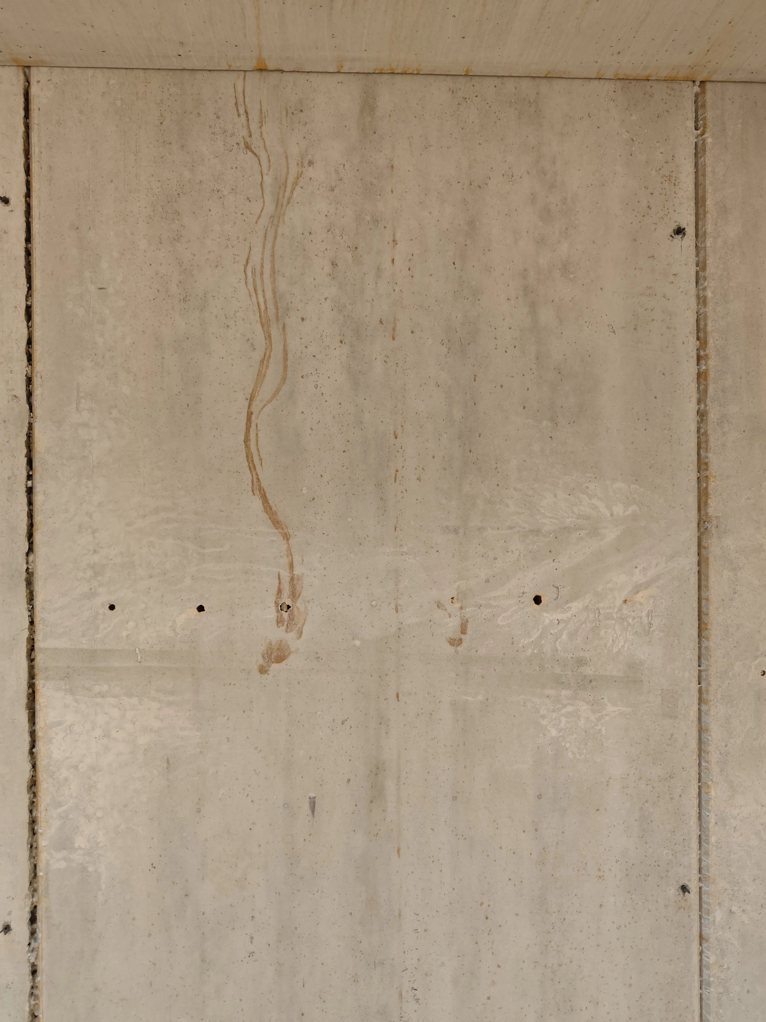 Fresco van de Amazone #3052