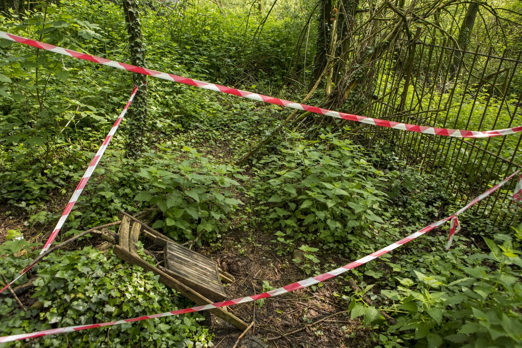 Who Killed Art , 2023.jpg