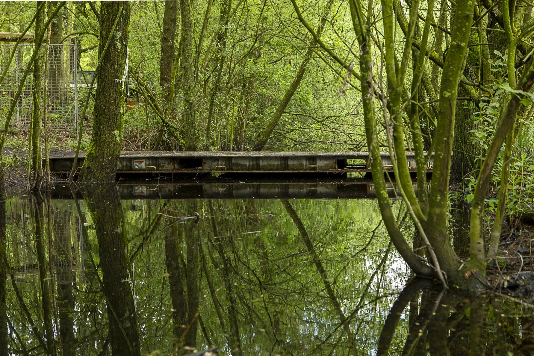 Zwevende Pontonbrug, 2017.jpg