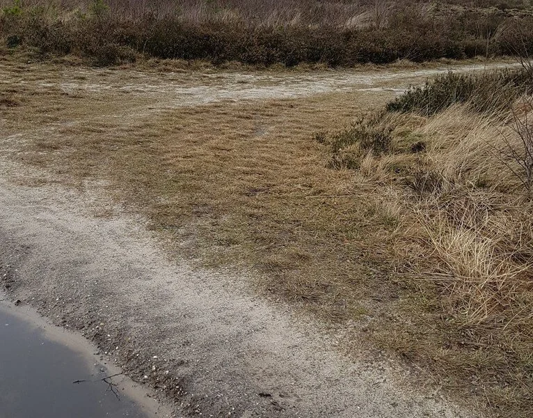 Bocht Naar Rechts, 2019
