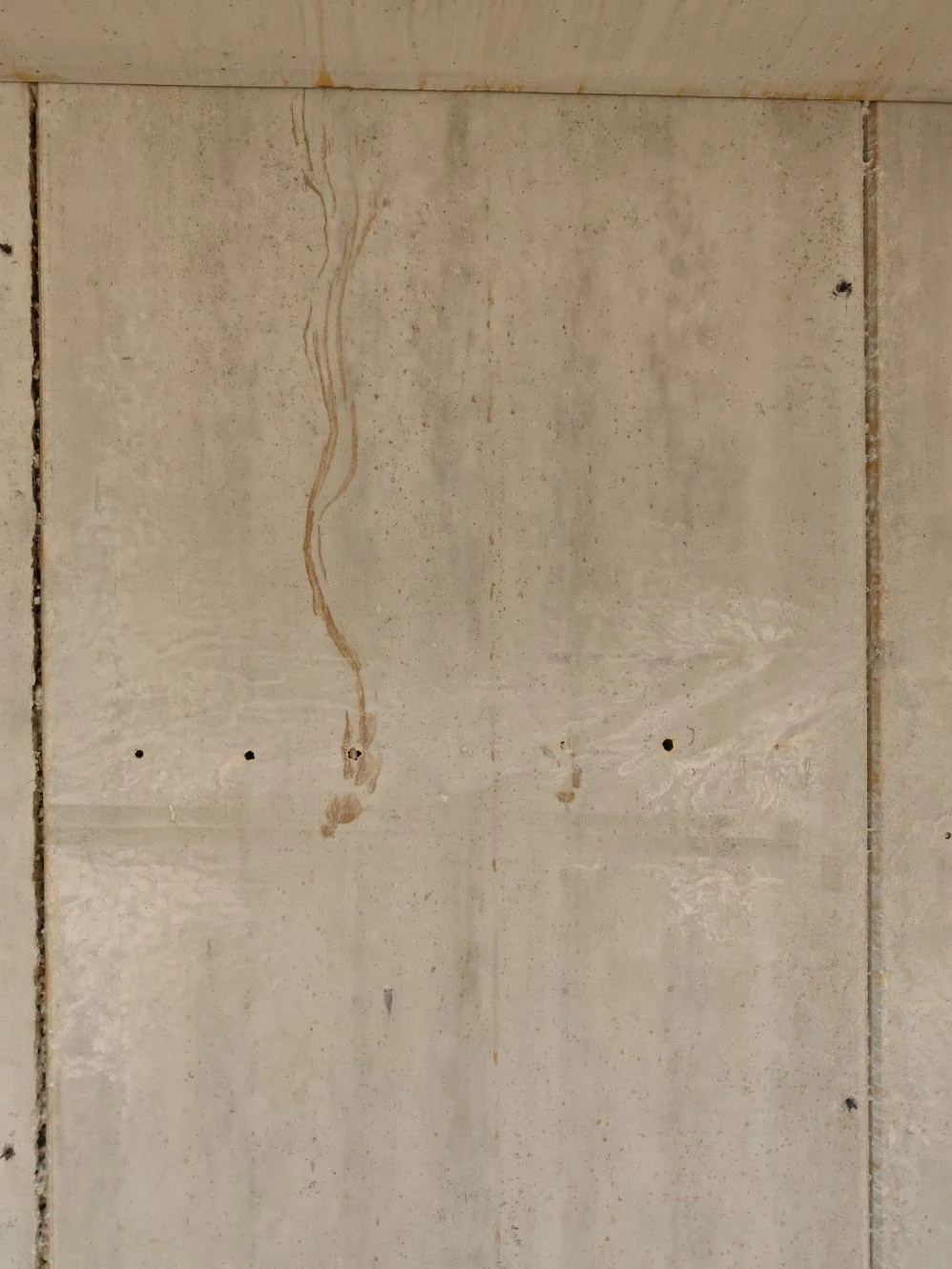 Fresco van de Amazone #3052