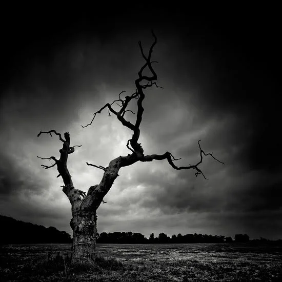 A season of promise and the lie of a crossless grace