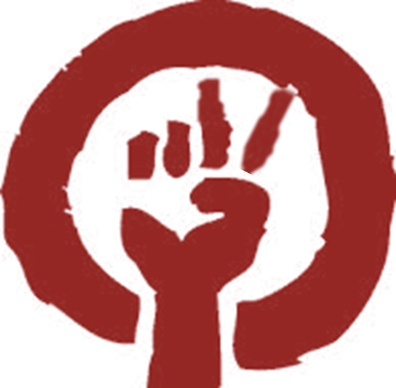 Pacific Activism: What is it?