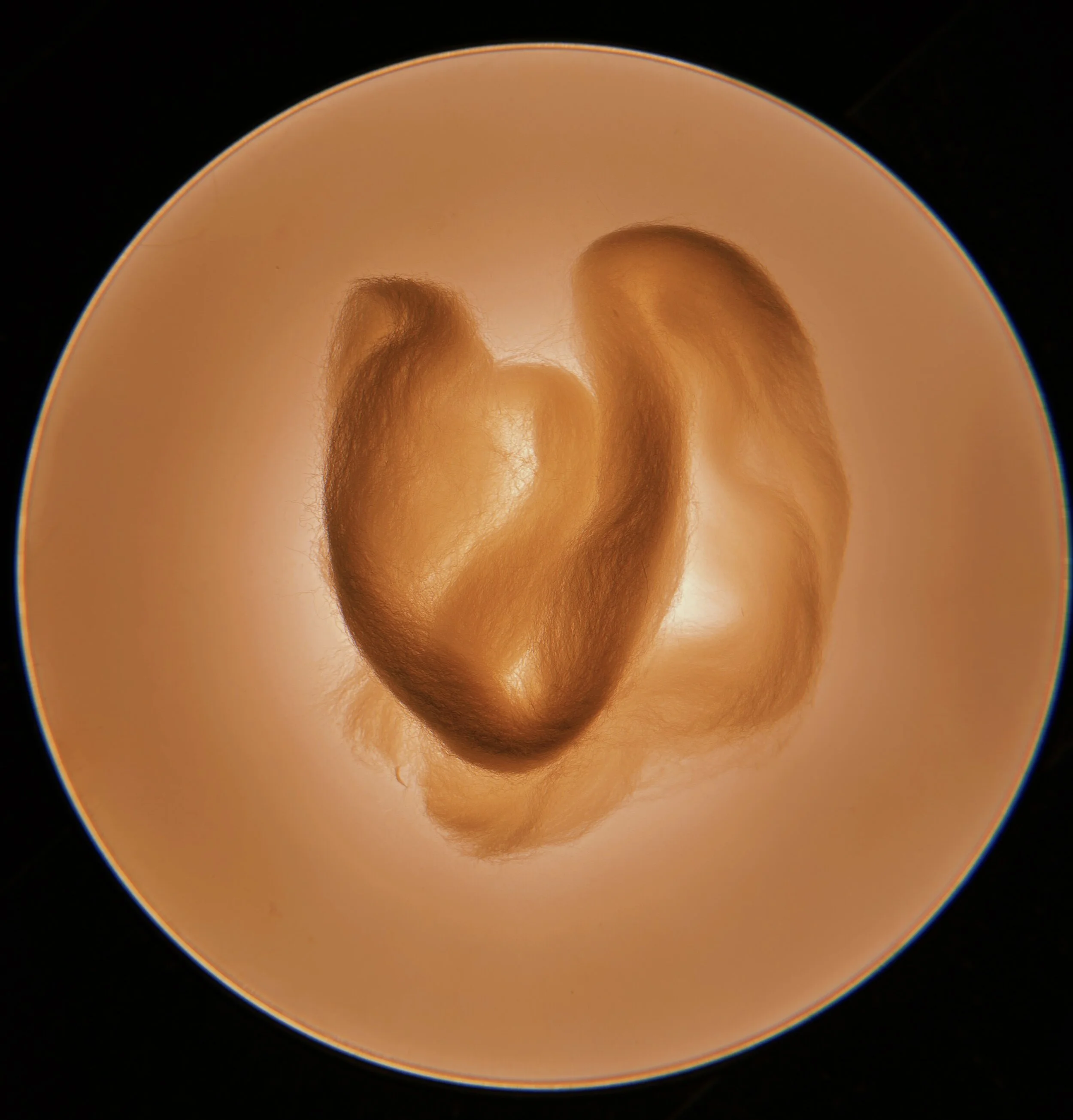 2021-04-23 11:14:56.748.jpg